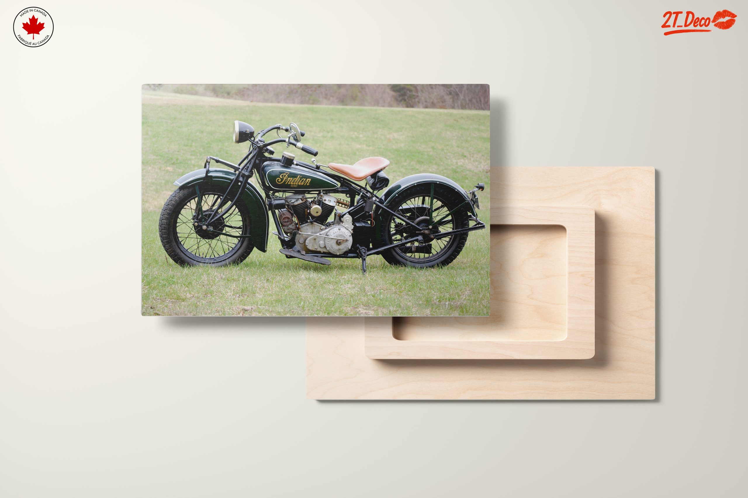 Classic Indian Motorcycle on Green Grass - Image 11