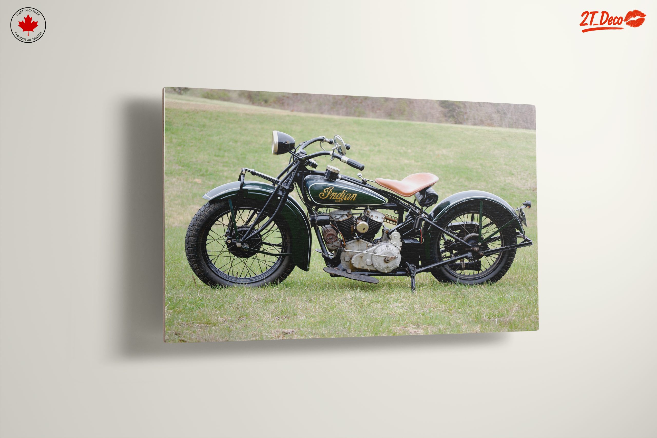 Classic Indian Motorcycle on Green Grass - Image 13