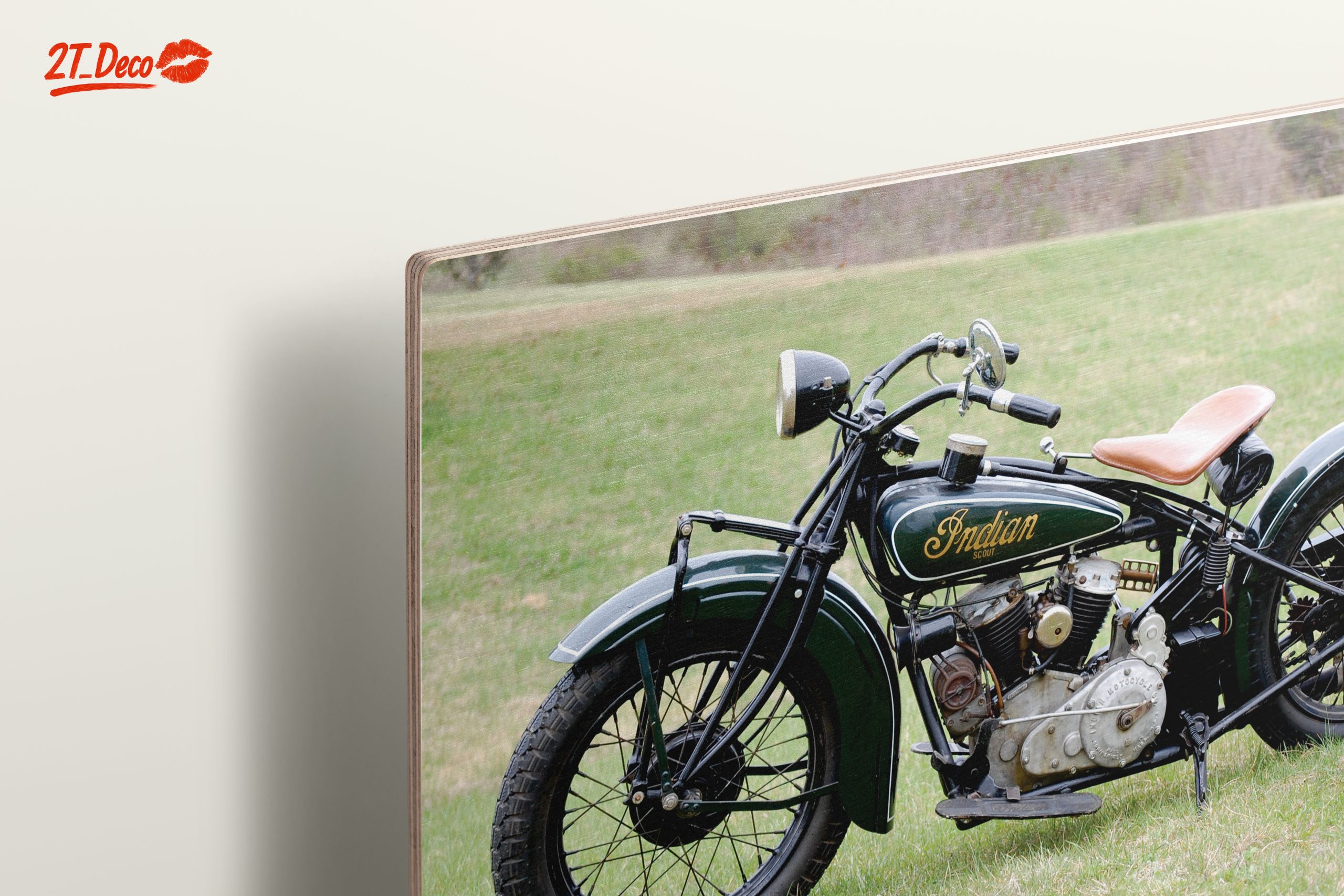 Classic Indian Motorcycle on Green Grass - Image 15