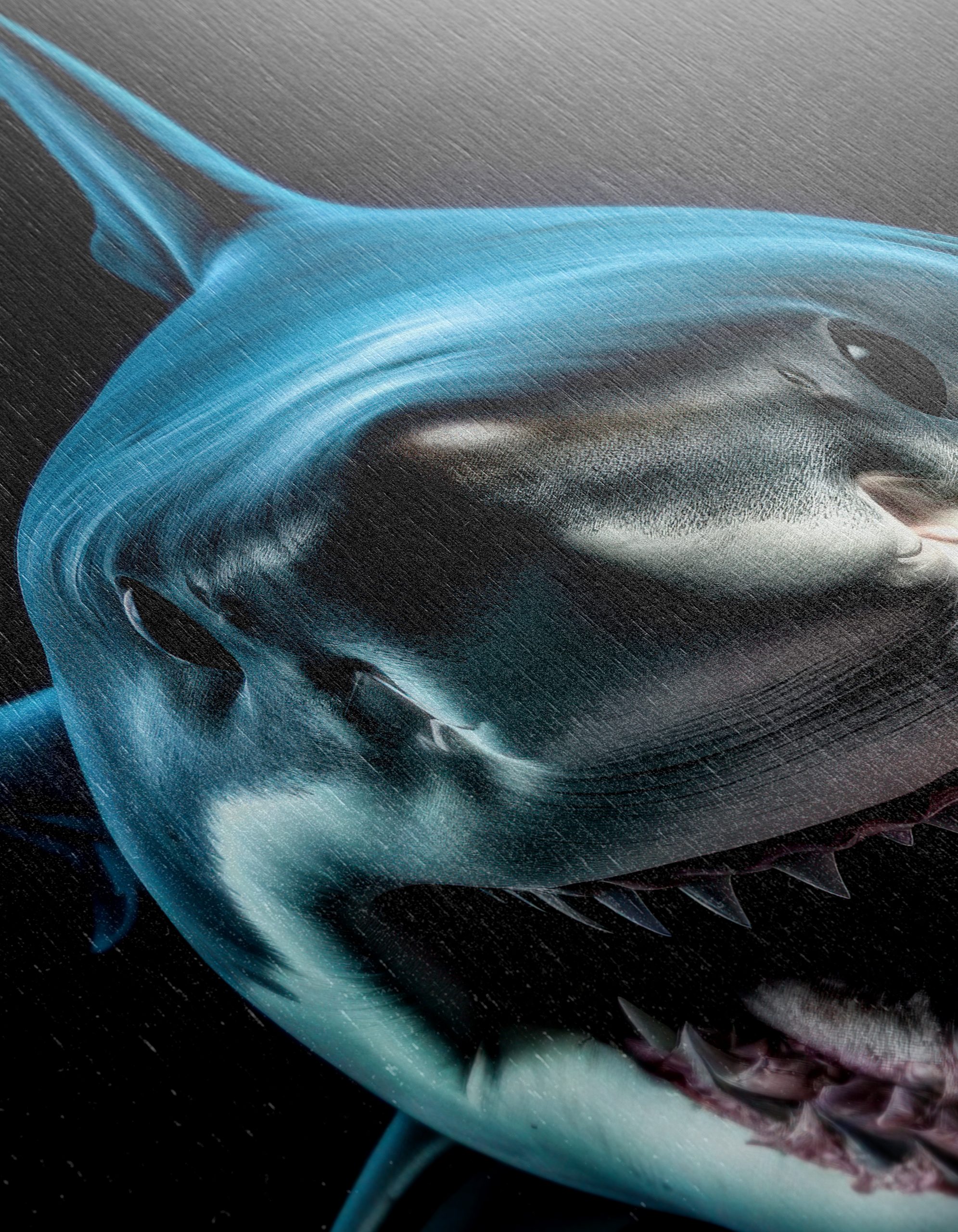 Vibrant Shark Wall Art - Image 12