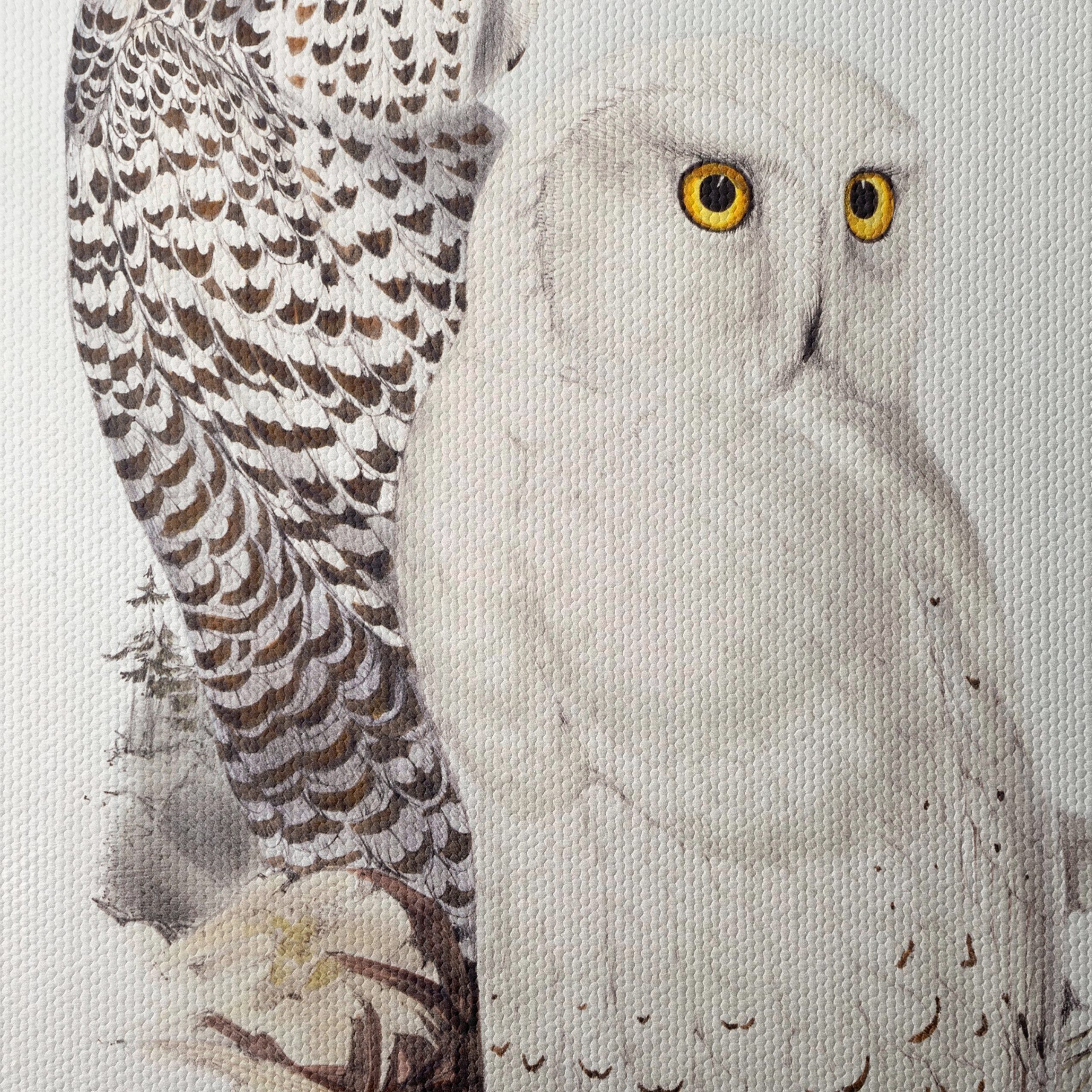Stunning Owl Illustration for Nature Lovers - Image 4