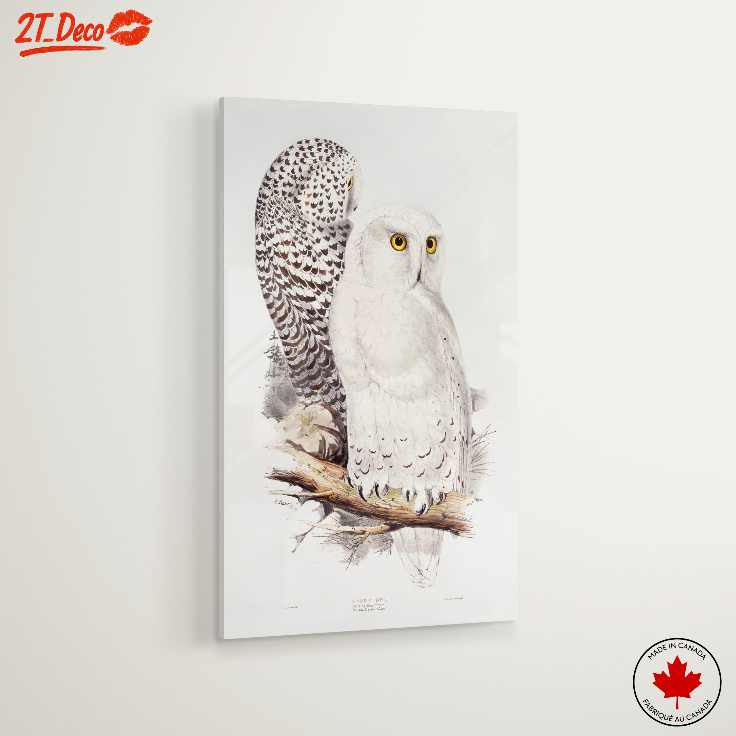 Stunning Owl Illustration for Nature Lovers - Image 6