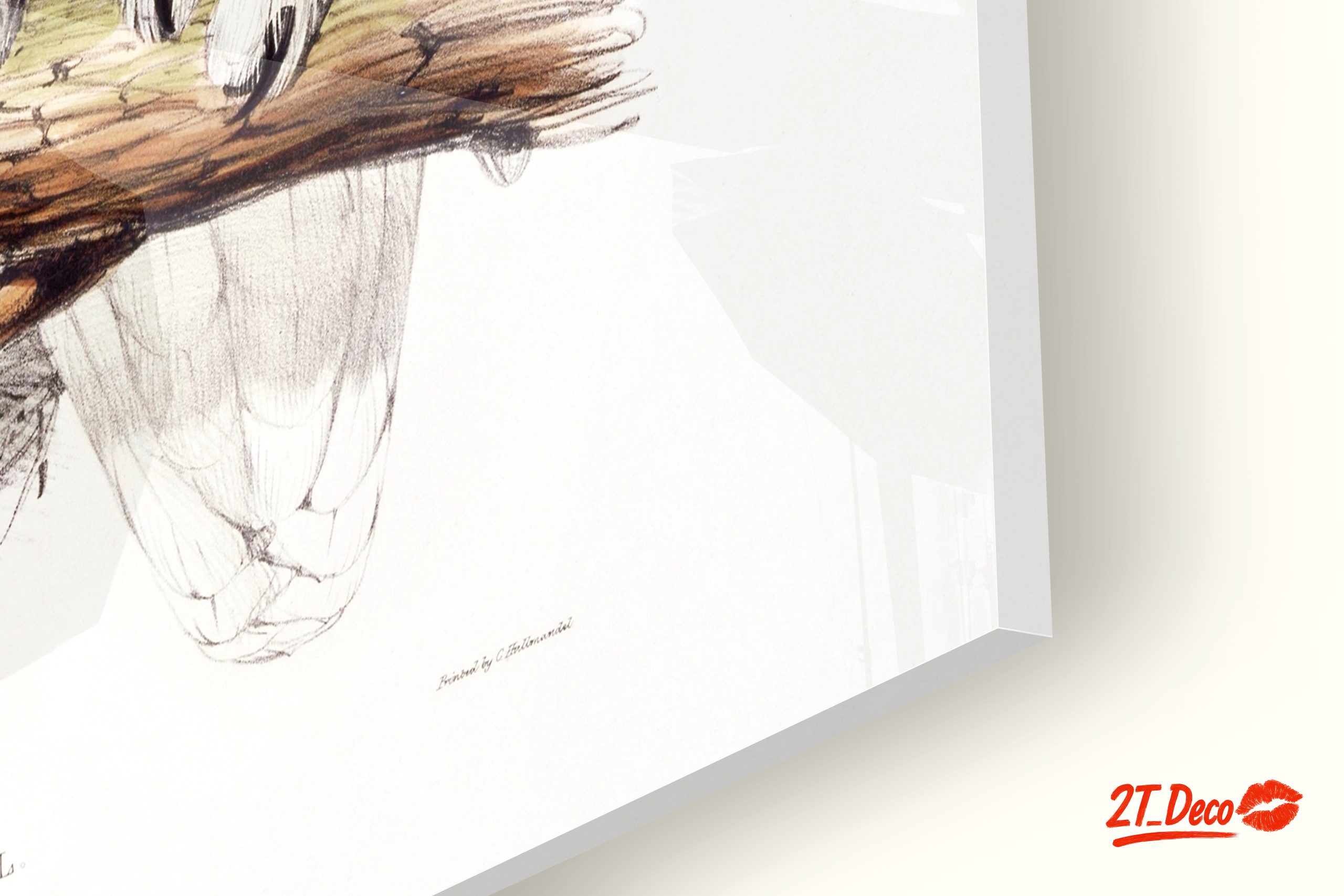 Stunning Owl Illustration for Nature Lovers - Image 9