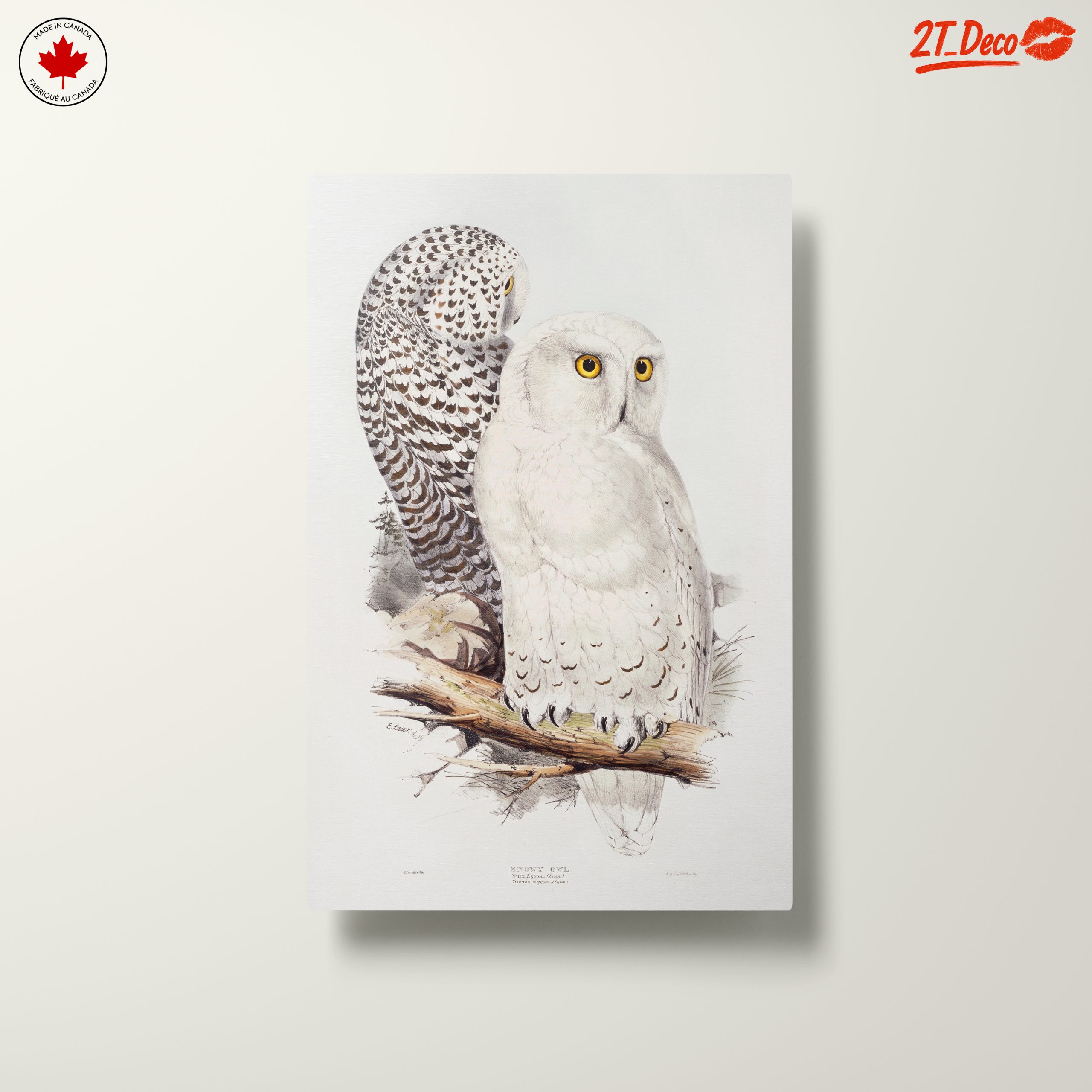 Stunning Owl Illustration for Nature Lovers - Image 10