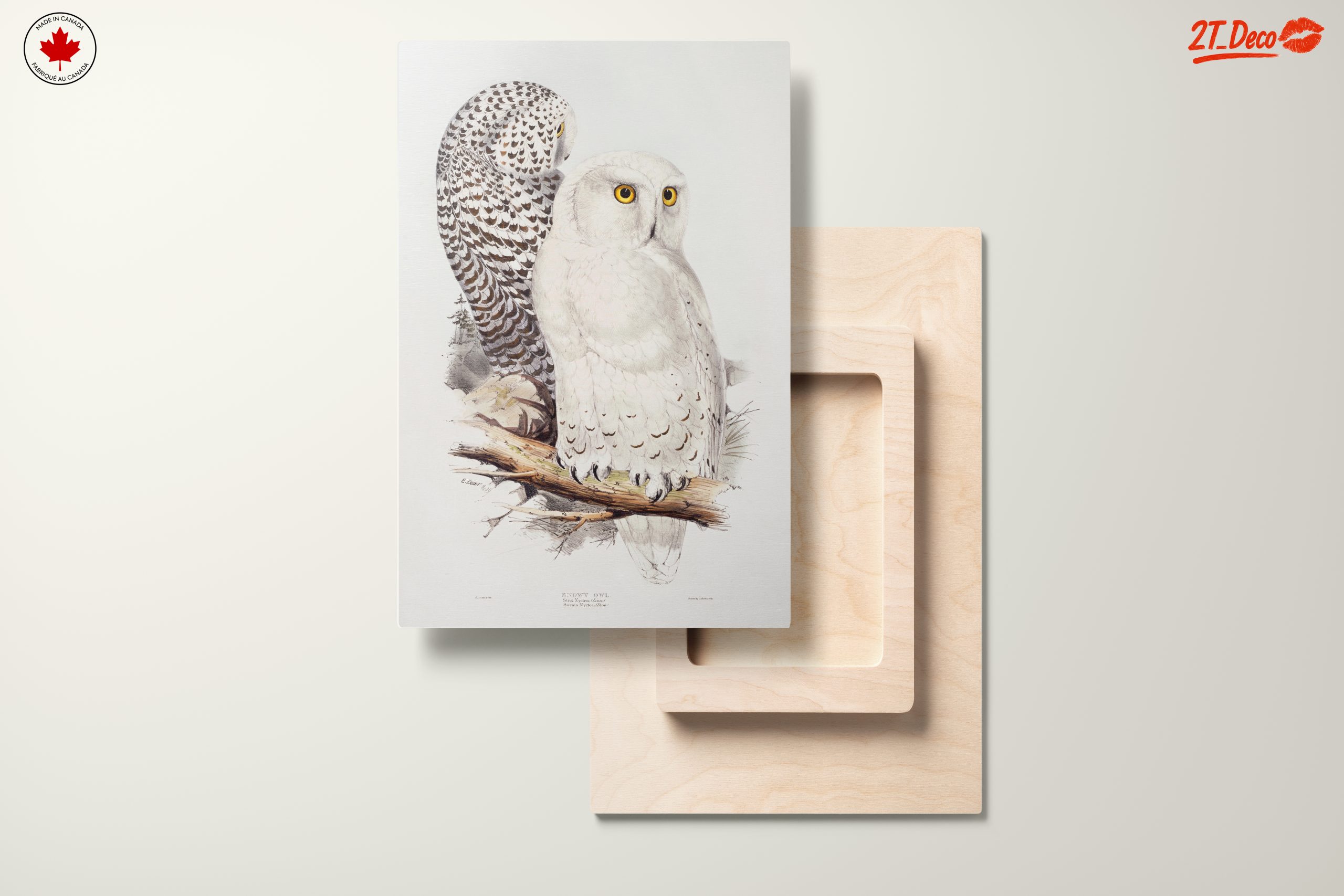 Stunning Owl Illustration for Nature Lovers - Image 11