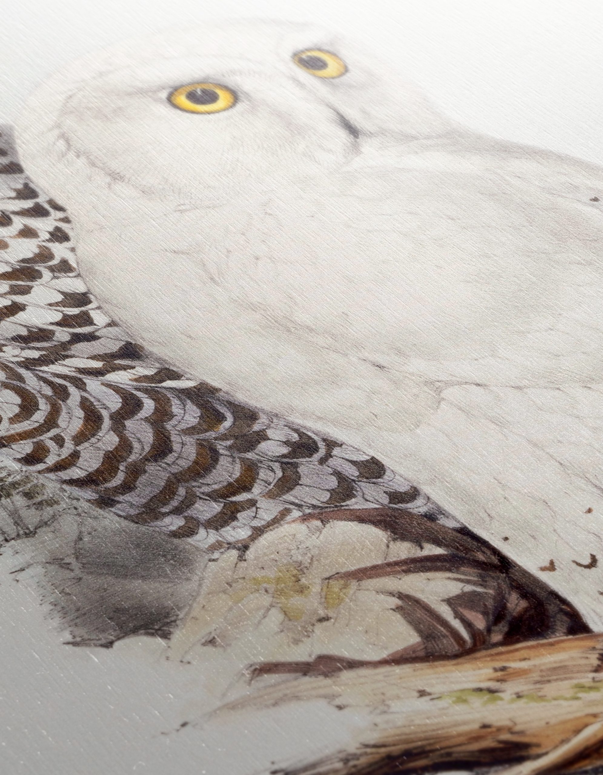 Stunning Owl Illustration for Nature Lovers - Image 12