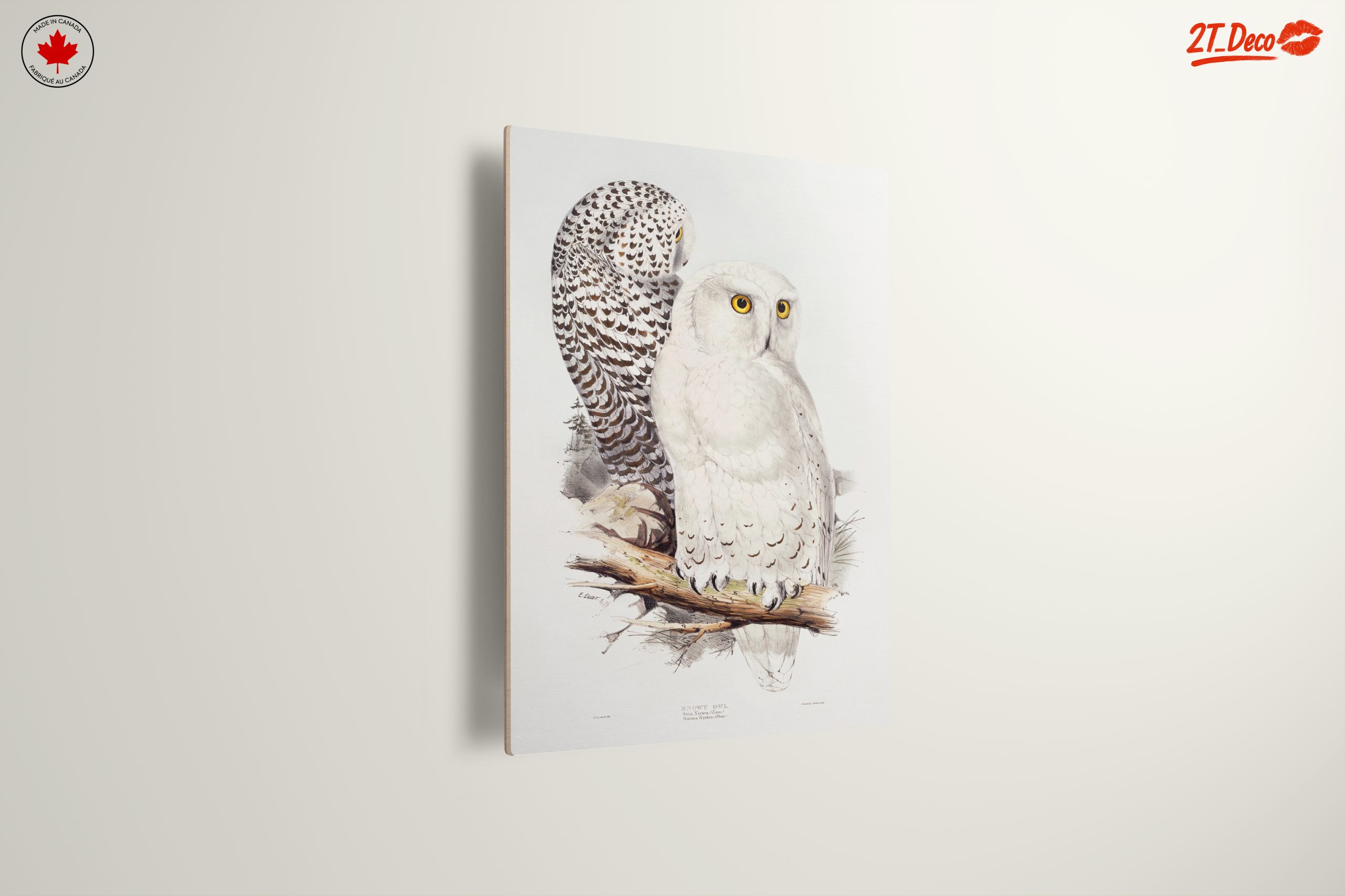 Stunning Owl Illustration for Nature Lovers - Image 13