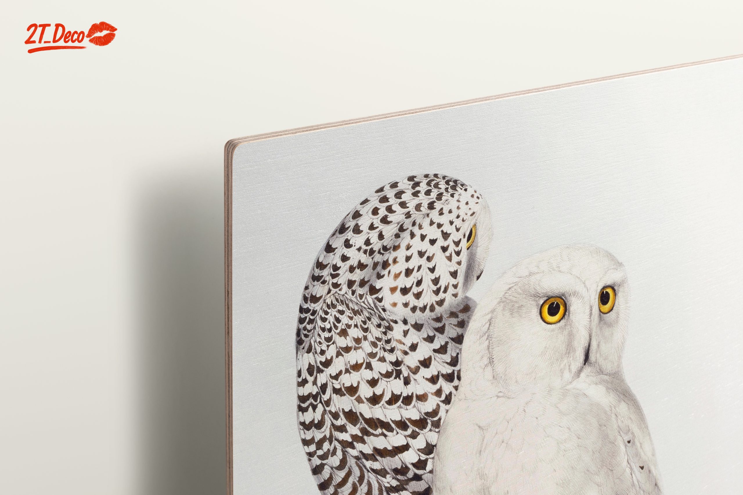 Stunning Owl Illustration for Nature Lovers - Image 15