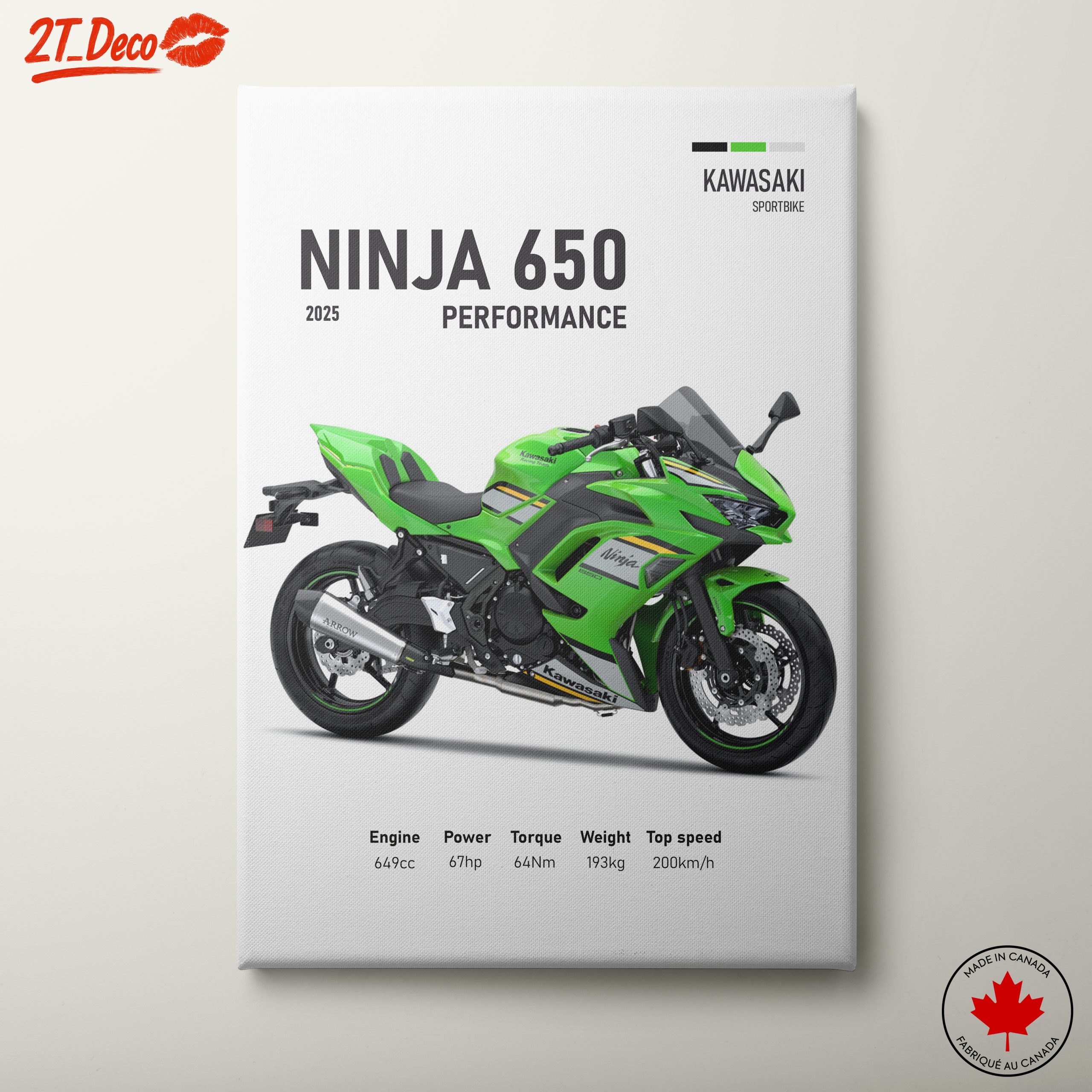 2025 Kawasaki Ninja 650 High-Performance Motorcycle