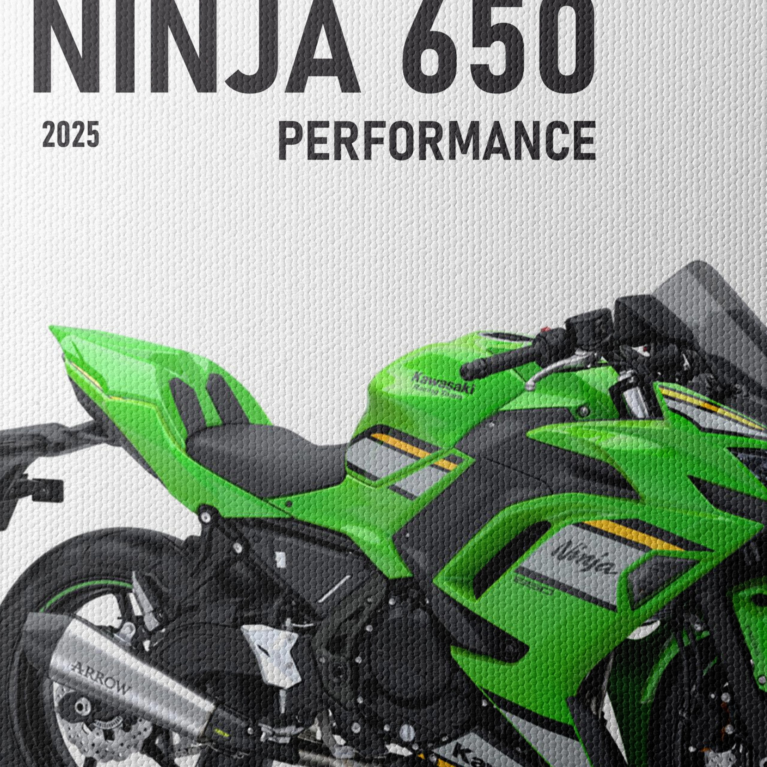 2025 Kawasaki Ninja 650 High-Performance Motorcycle - Image 4