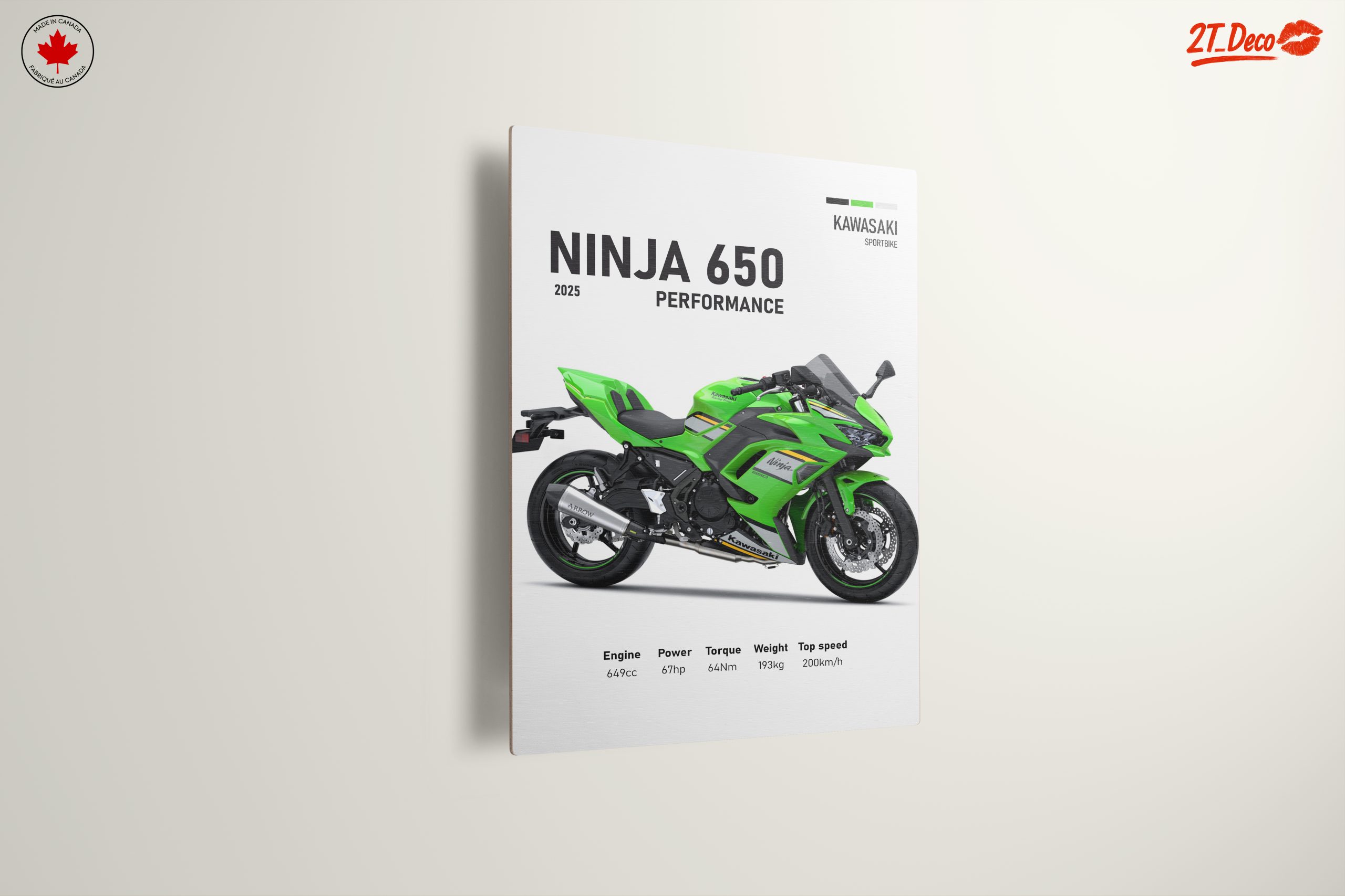 2025 Kawasaki Ninja 650 High-Performance Motorcycle - Image 13