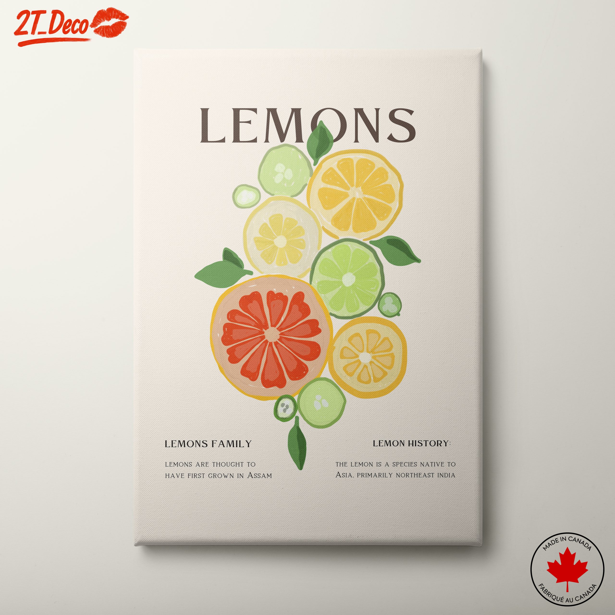 Colorful Abstract Citrus Fruit Art
