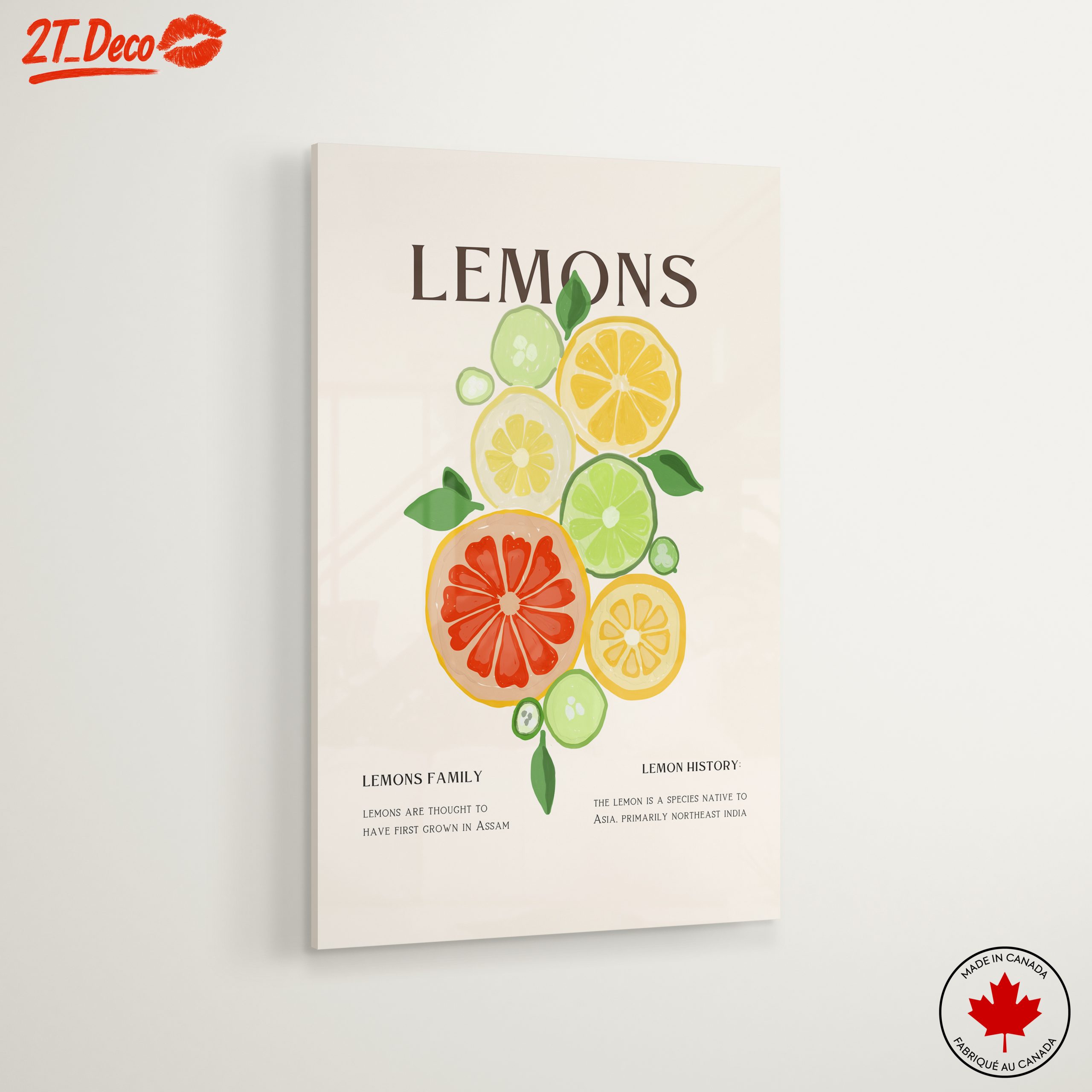 Colorful Abstract Citrus Fruit Art - Image 6