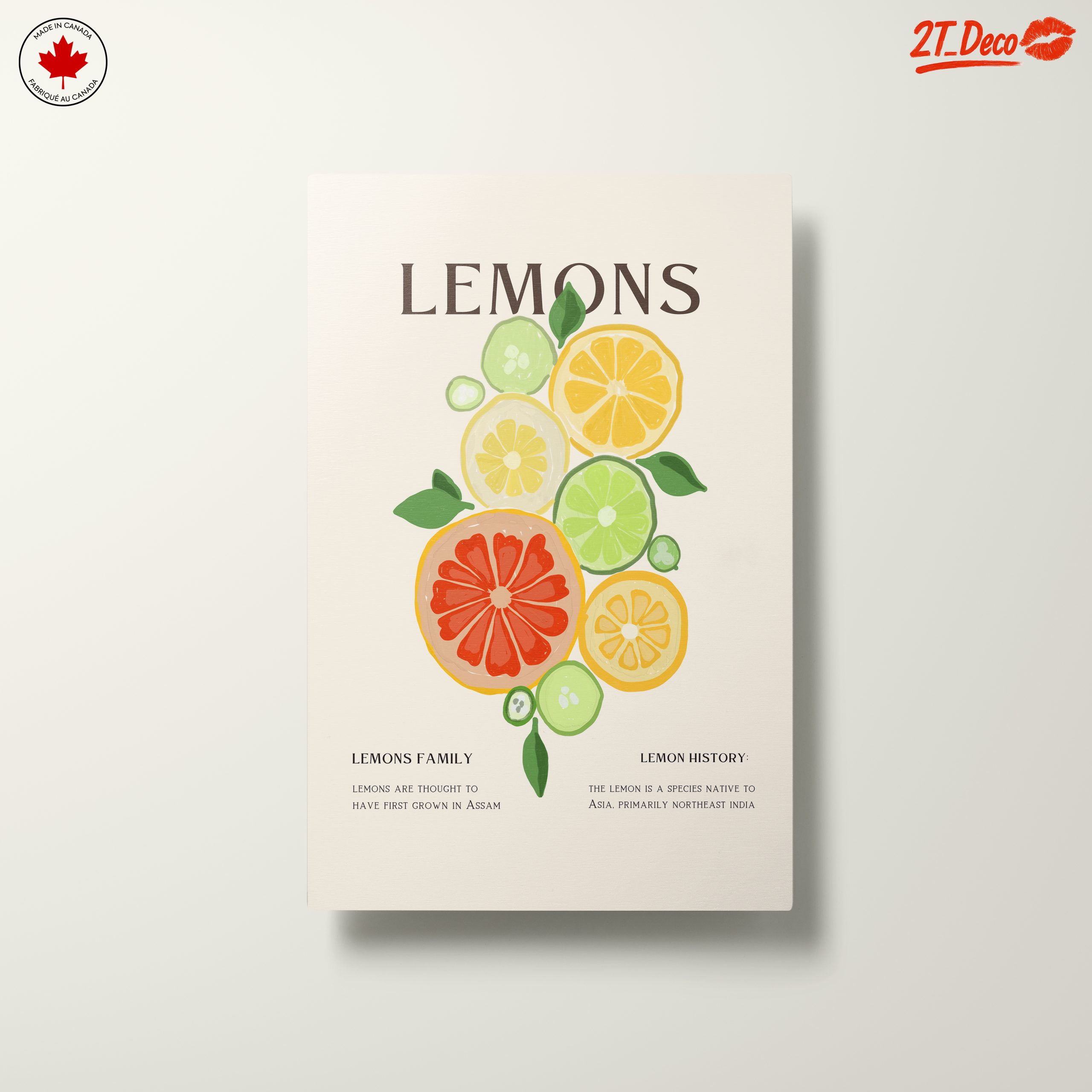Colorful Abstract Citrus Fruit Art - Image 10