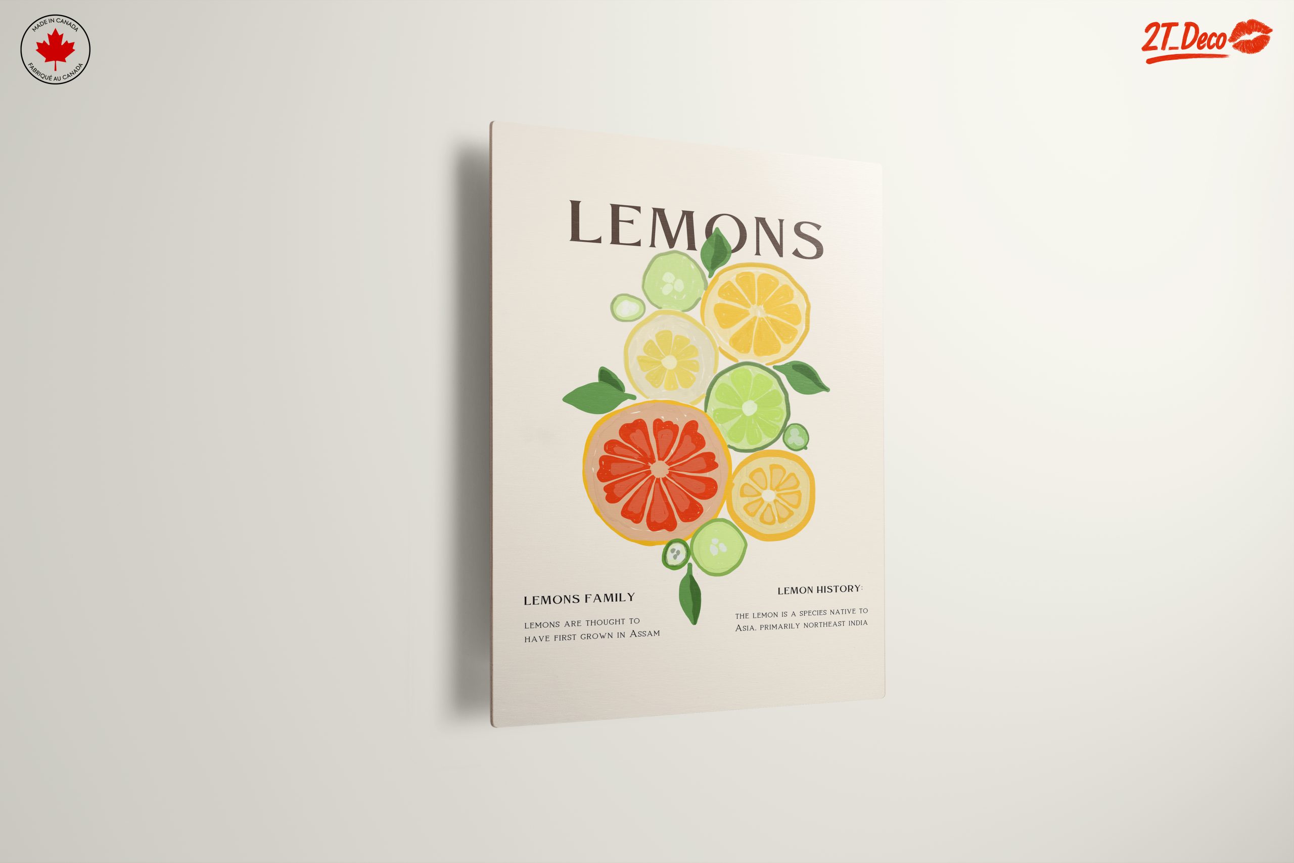 Colorful Abstract Citrus Fruit Art - Image 13
