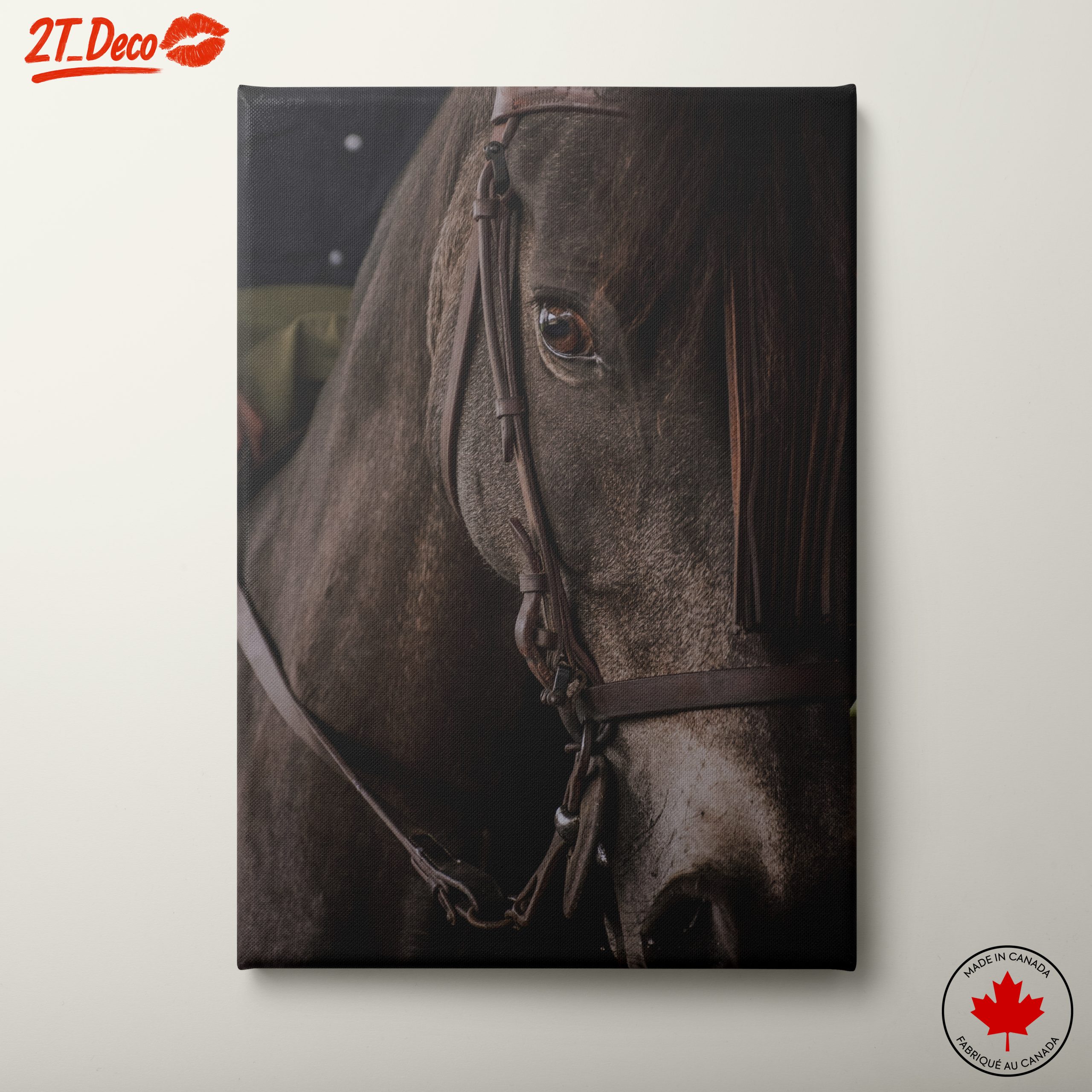 Close-Up Horse Portrait