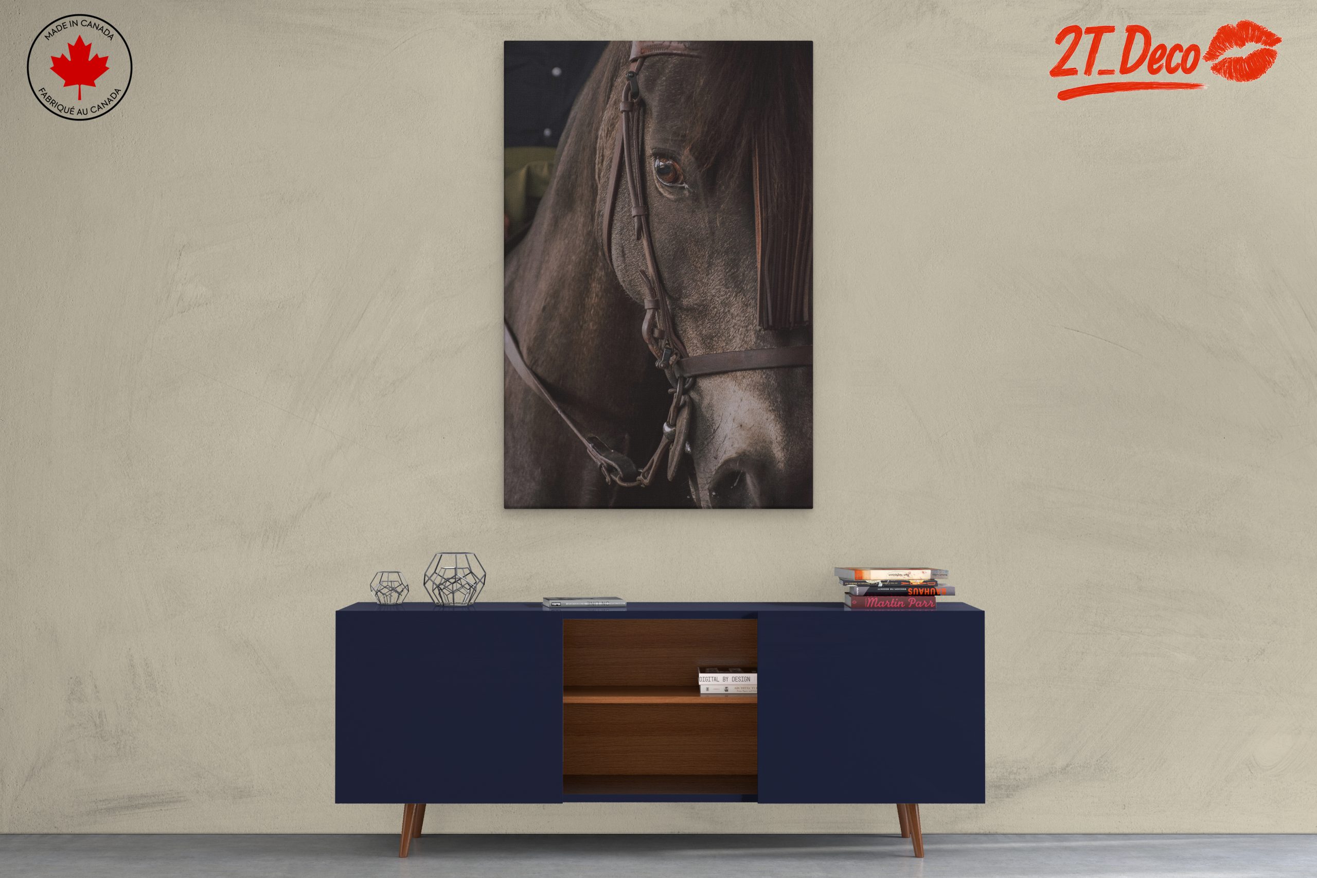 Close-Up Horse Portrait - Image 3