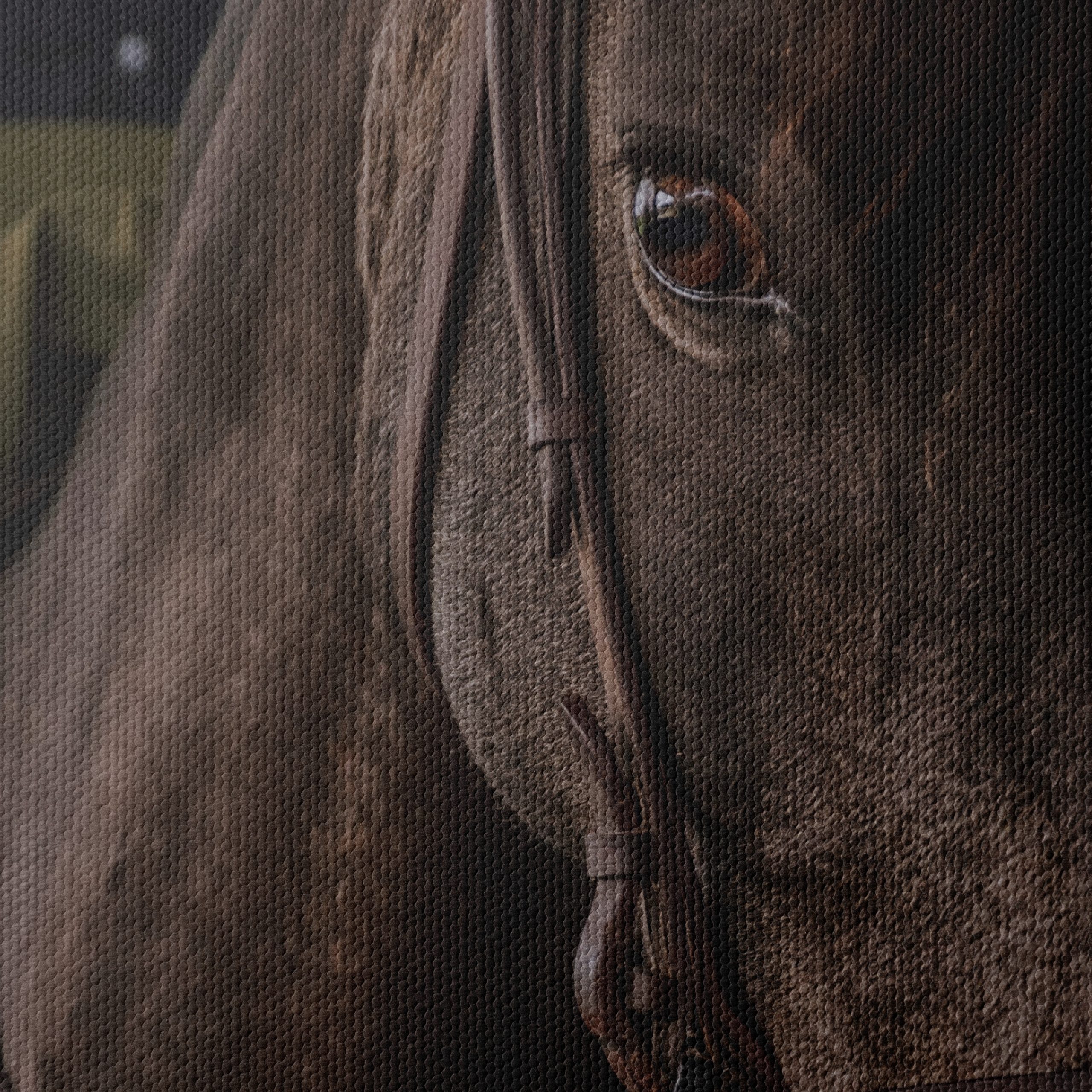 Close-Up Horse Portrait - Image 4
