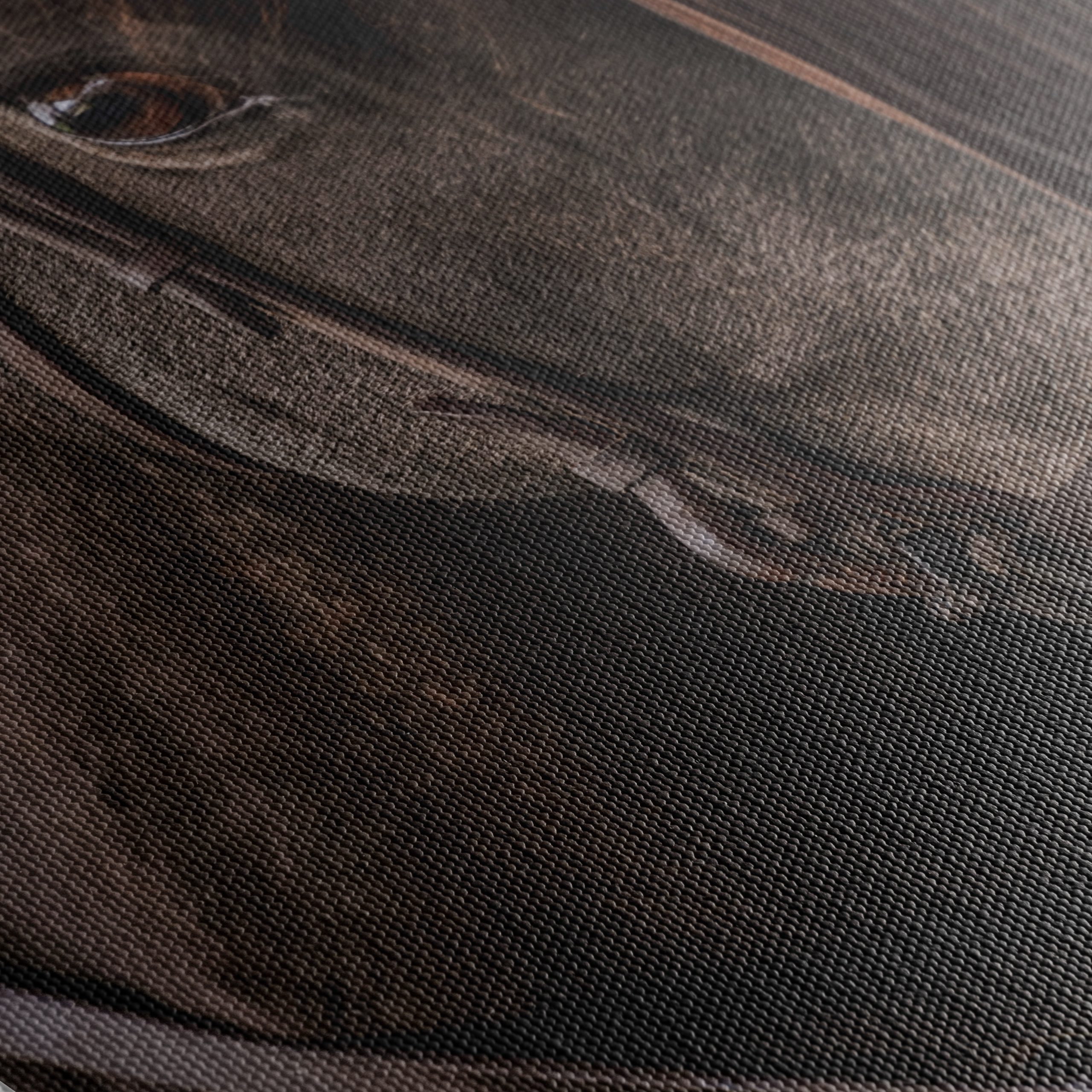 Close-Up Horse Portrait - Image 5