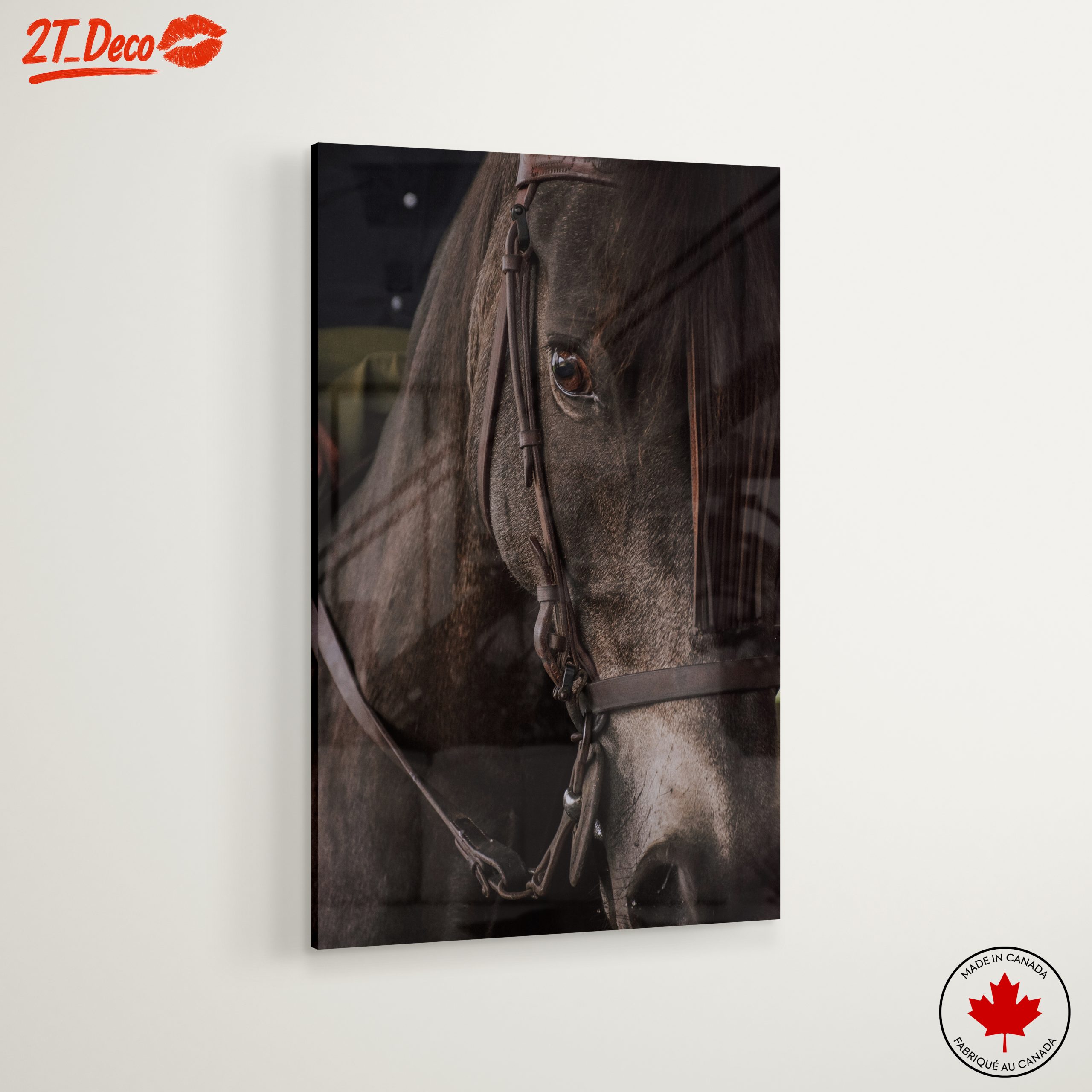Close-Up Horse Portrait - Image 6