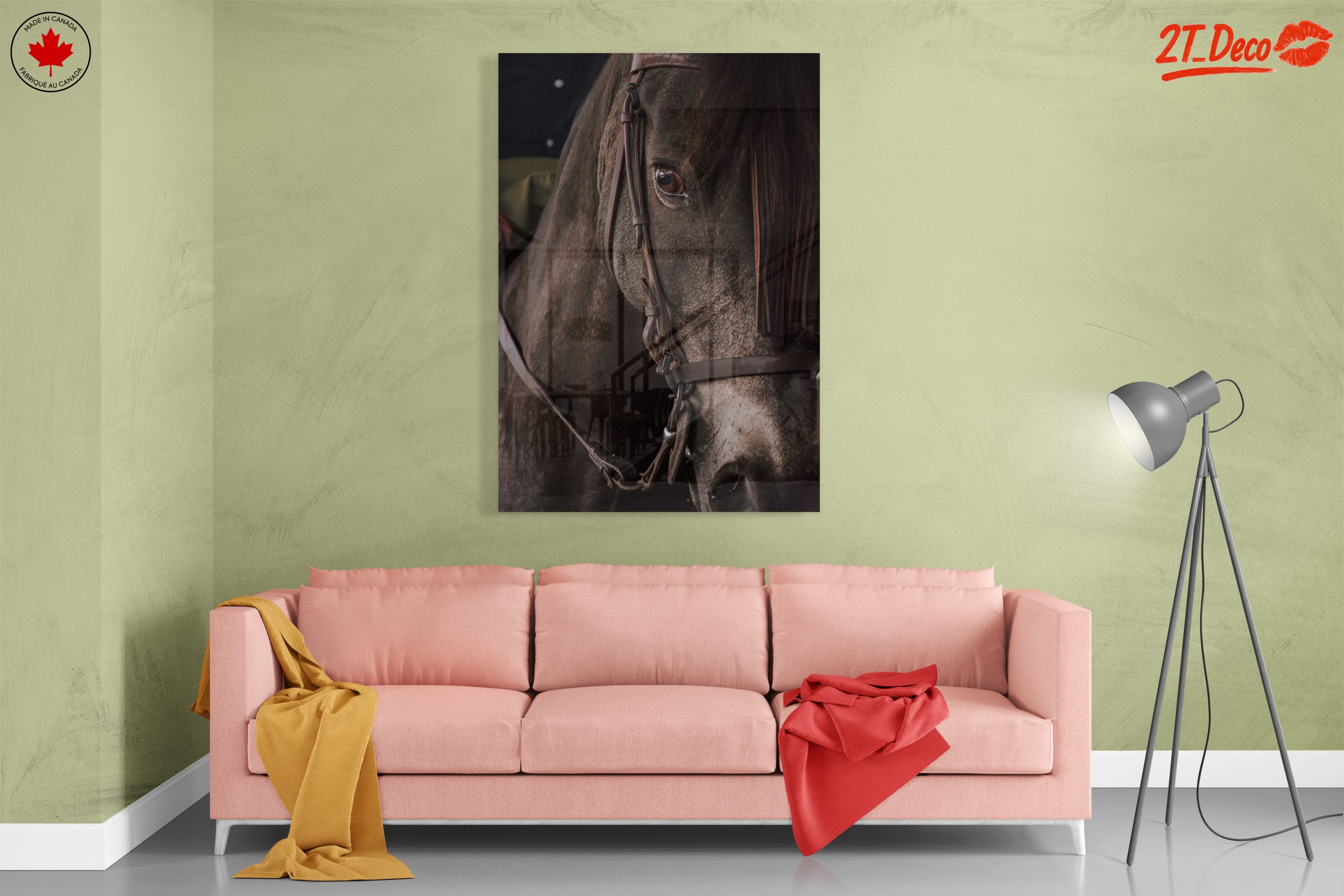 Close-Up Horse Portrait - Image 7