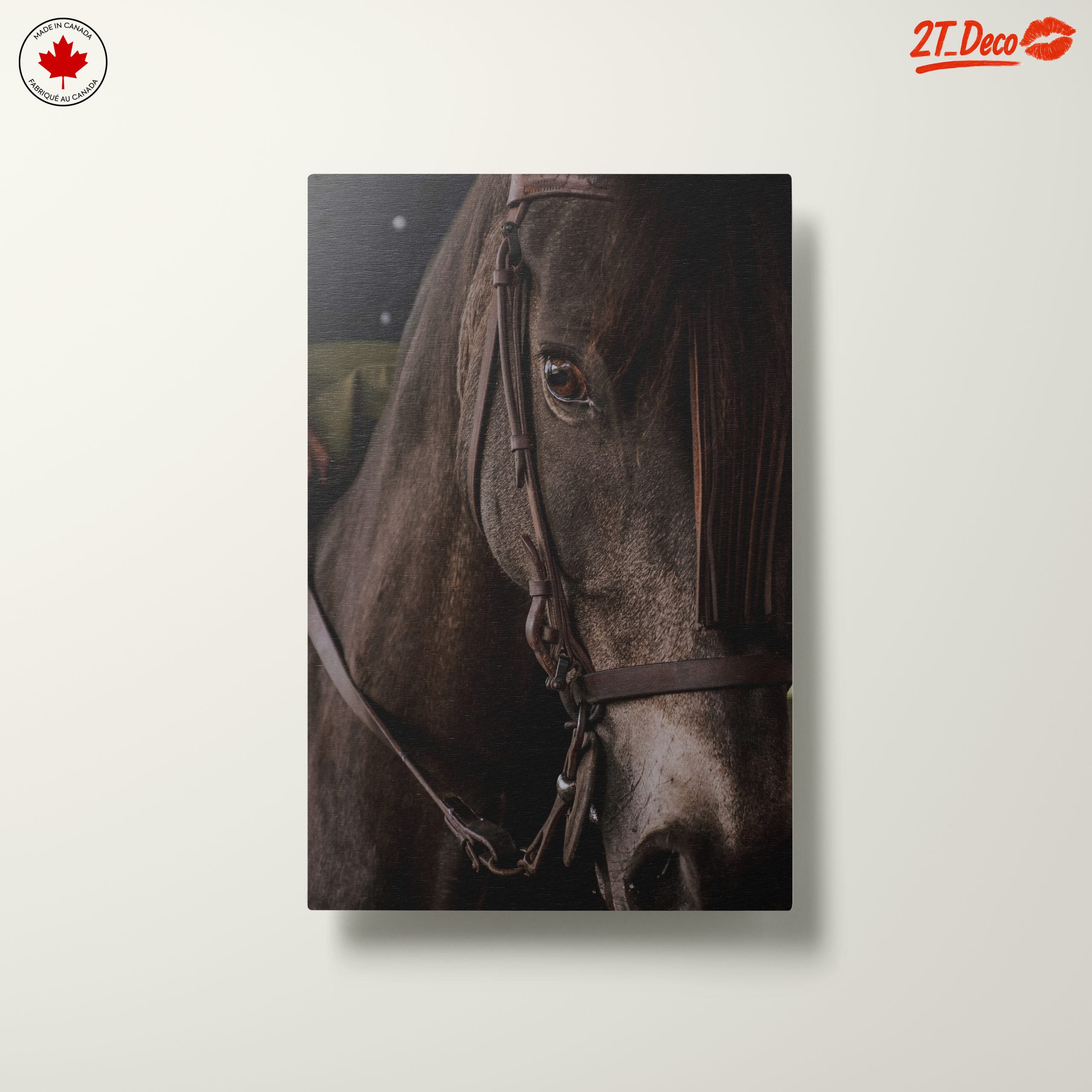 Close-Up Horse Portrait - Image 10