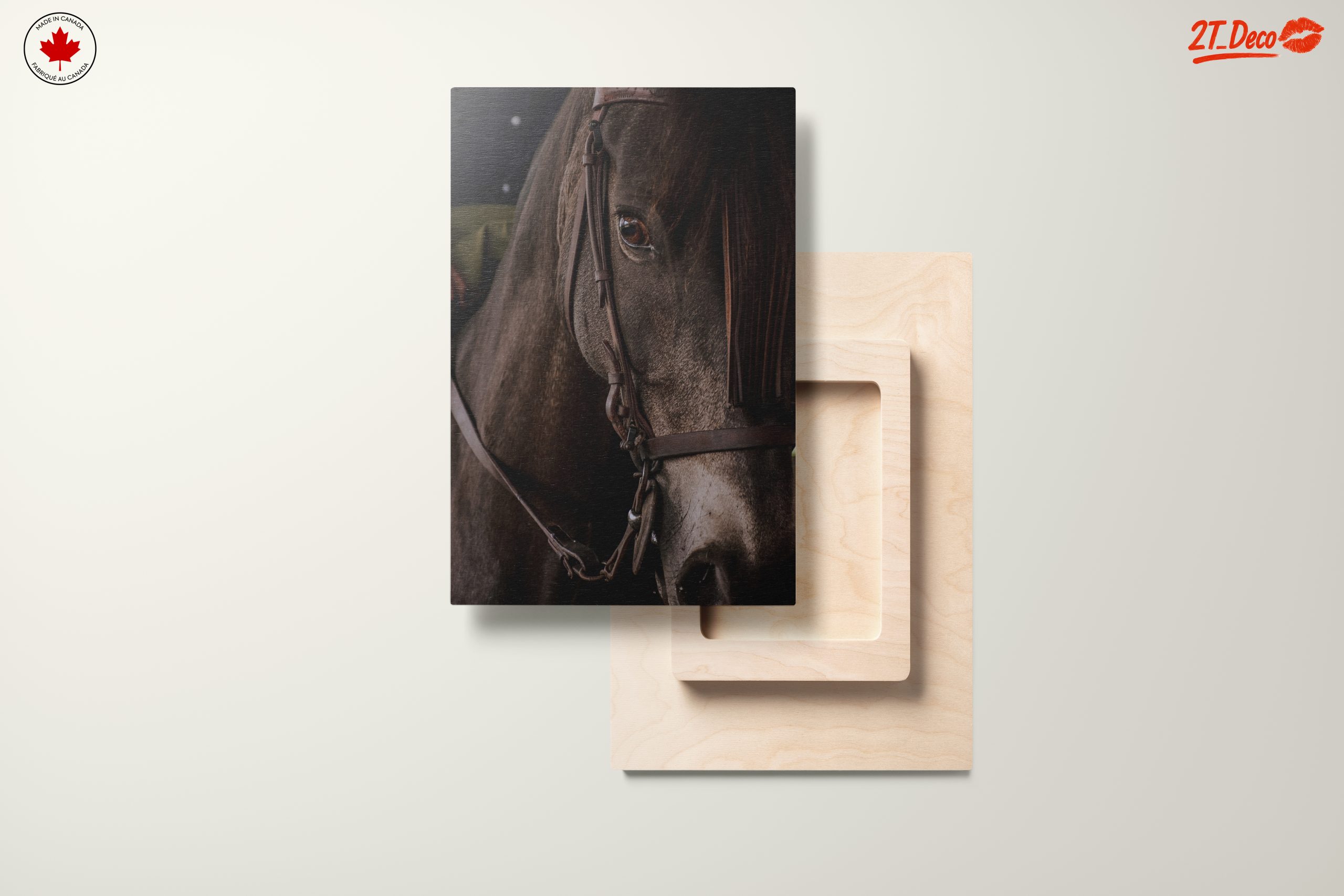 Close-Up Horse Portrait - Image 11