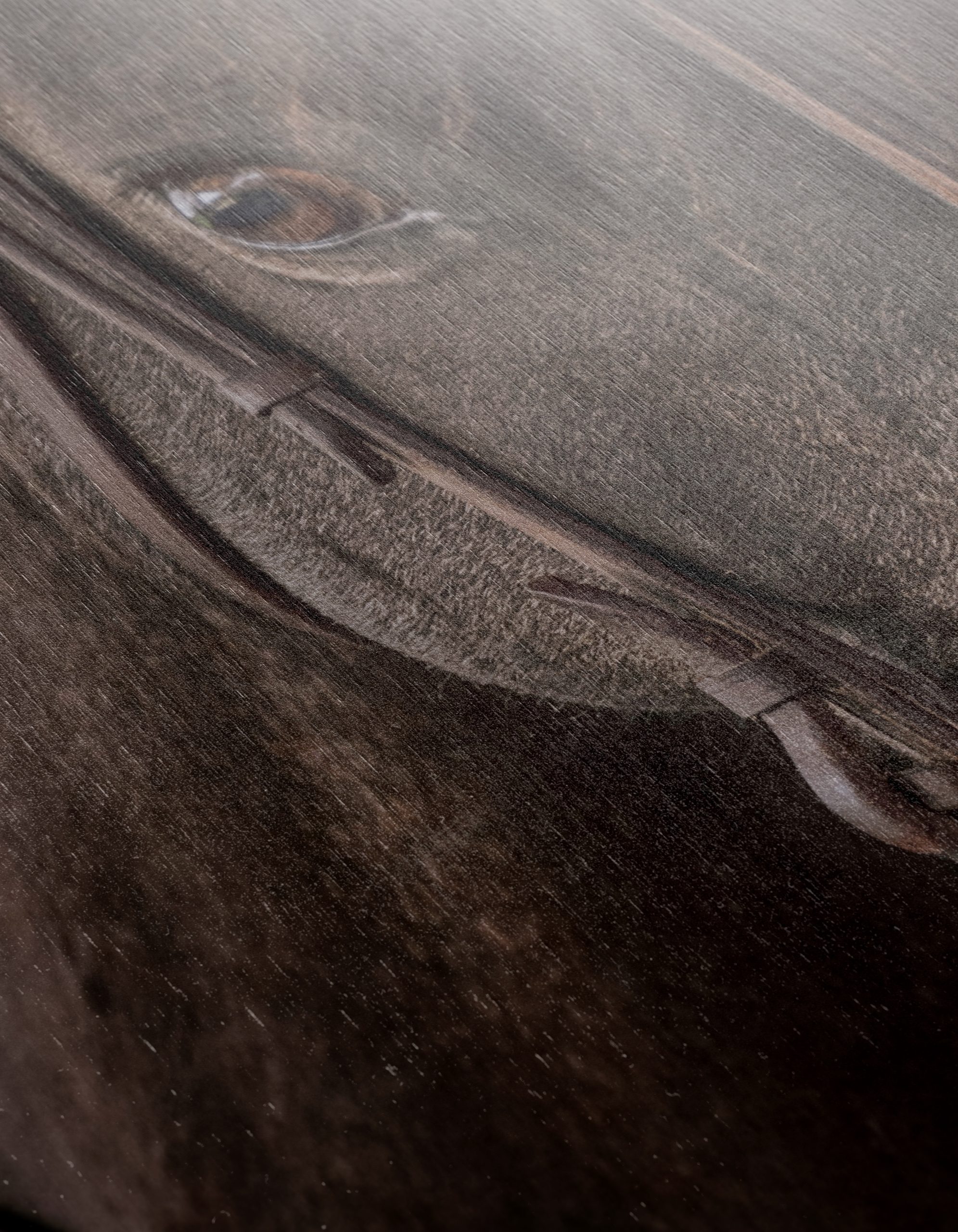Close-Up Horse Portrait - Image 12