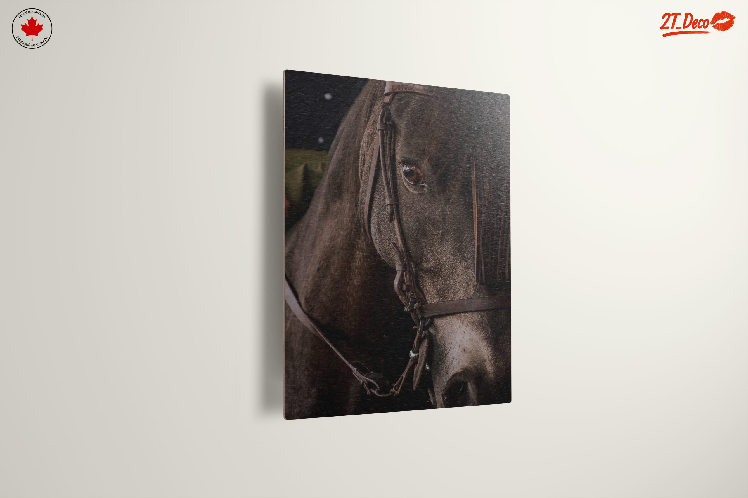 Close-Up Horse Portrait - Image 13