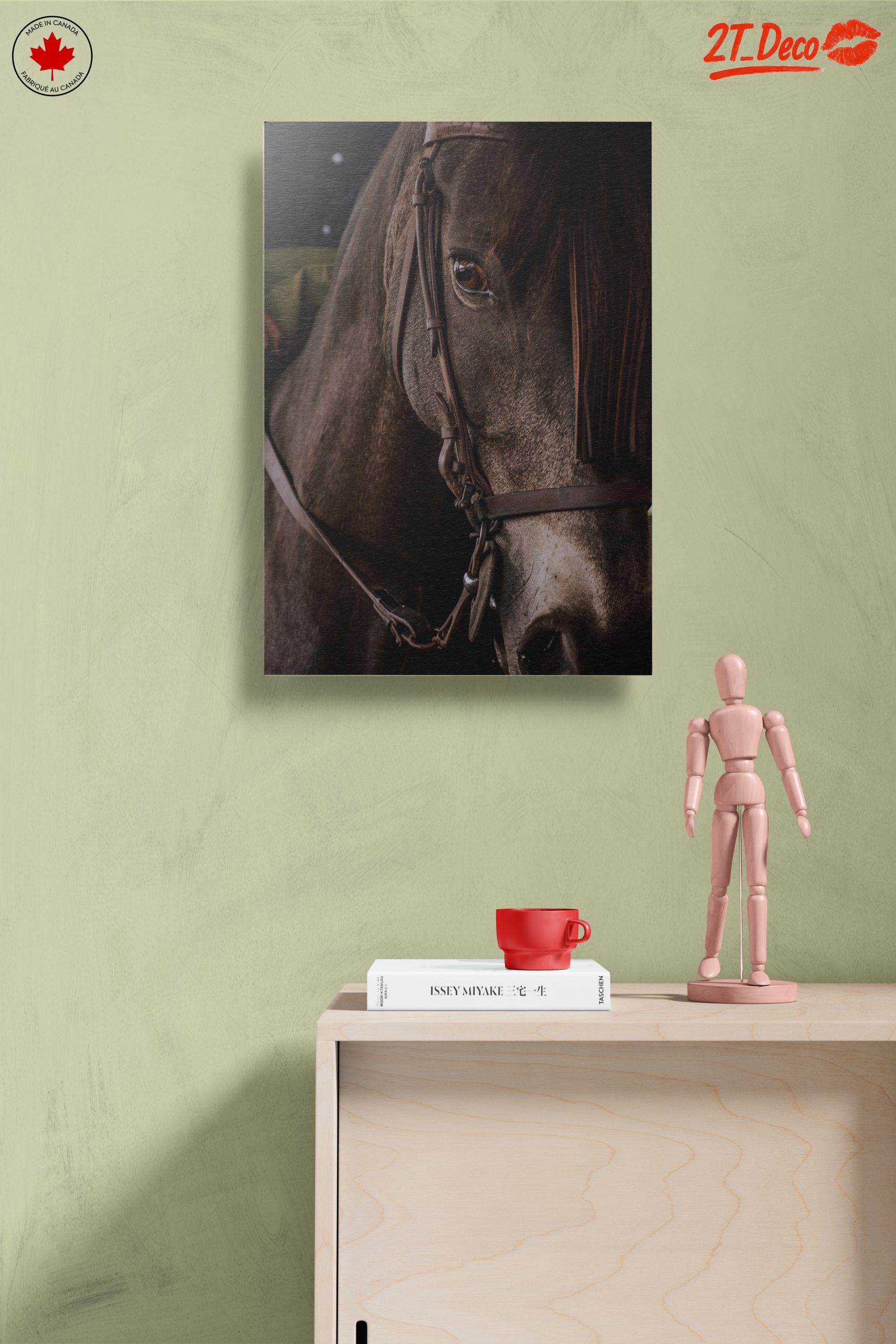Close-Up Horse Portrait - Image 14