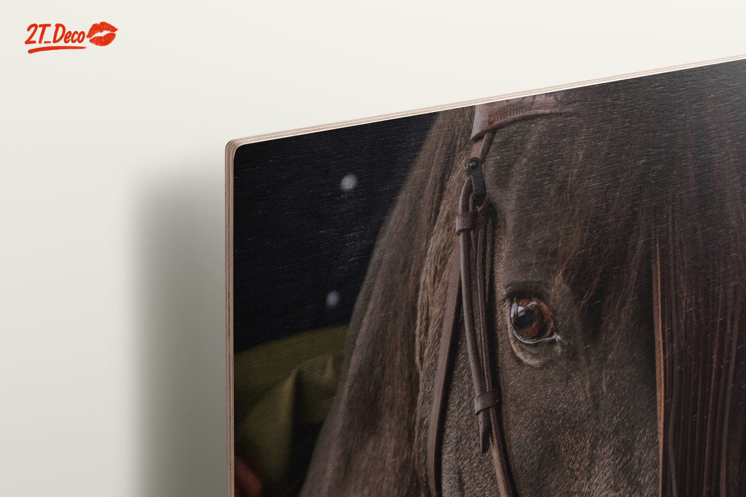Close-Up Horse Portrait - Image 15