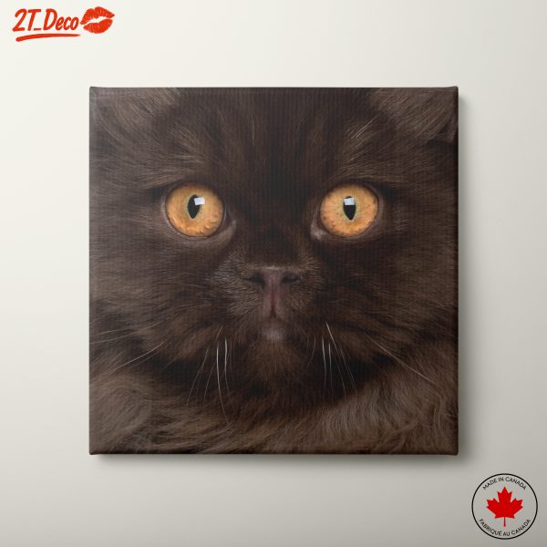 Stunning Cat Portrait with Golden Eyes
