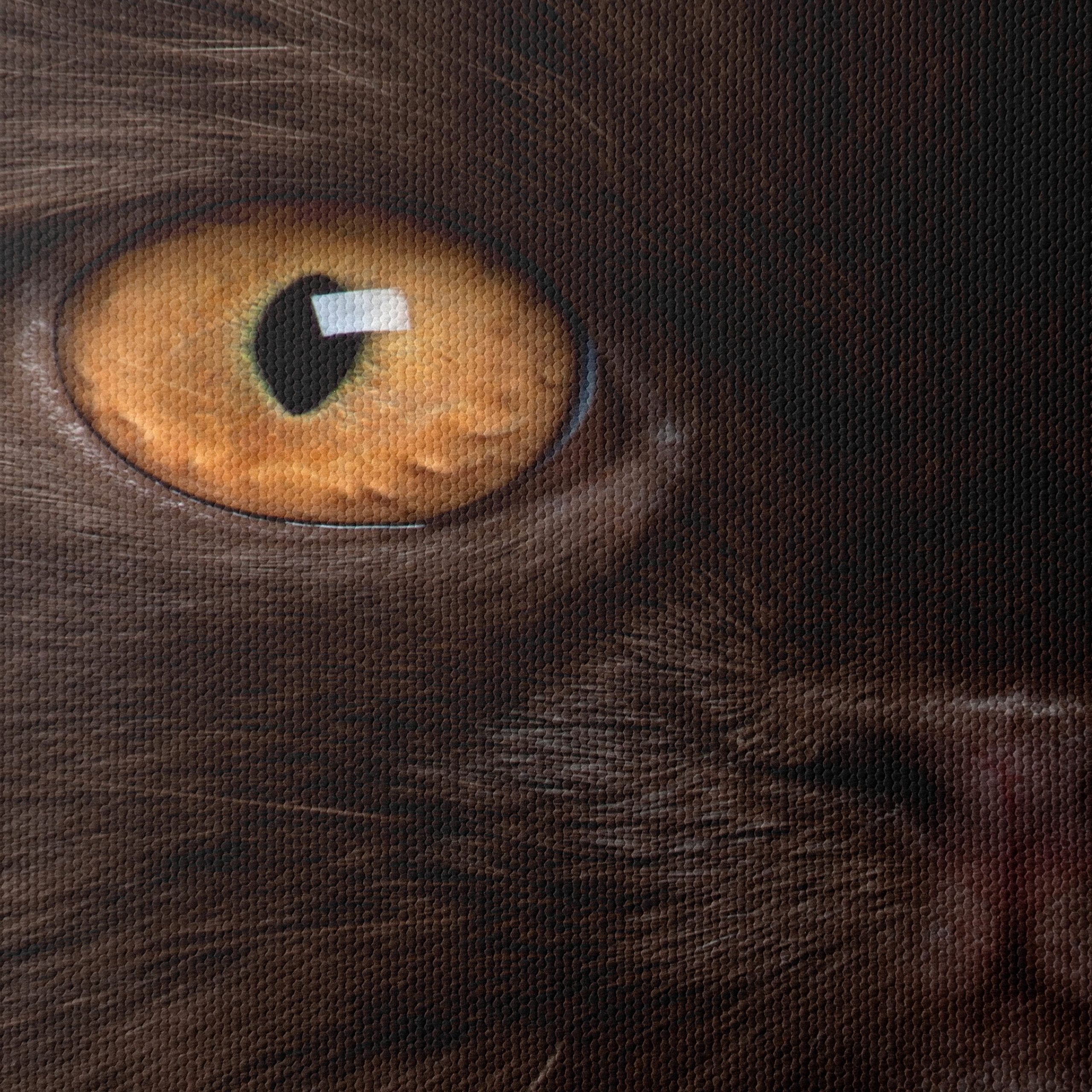Stunning Cat Portrait with Golden Eyes - Image 4