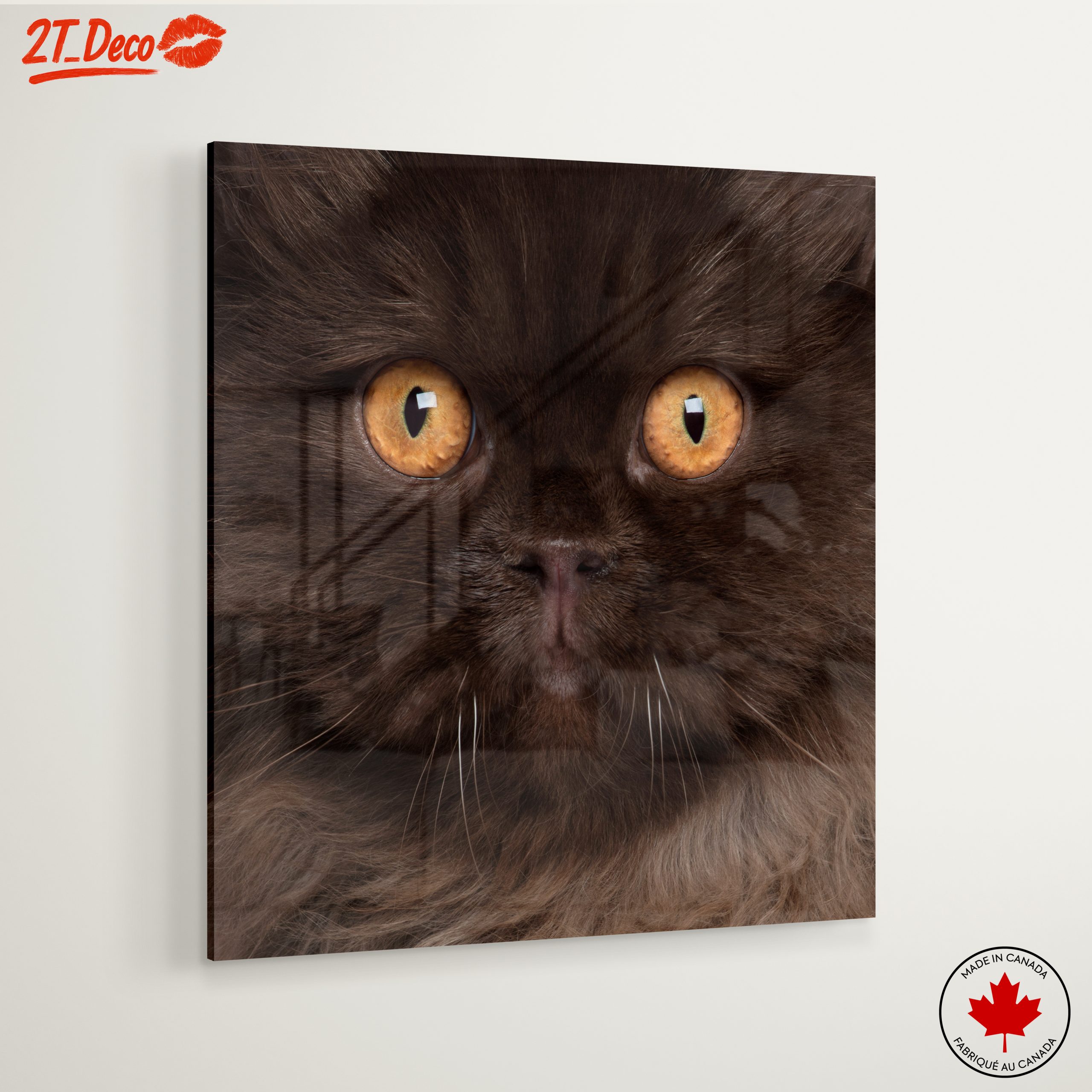 Stunning Cat Portrait with Golden Eyes - Image 6