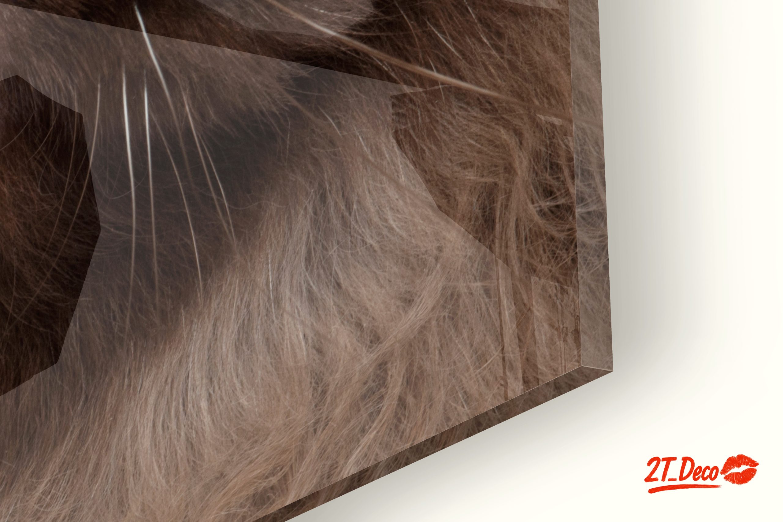 Stunning Cat Portrait with Golden Eyes - Image 9