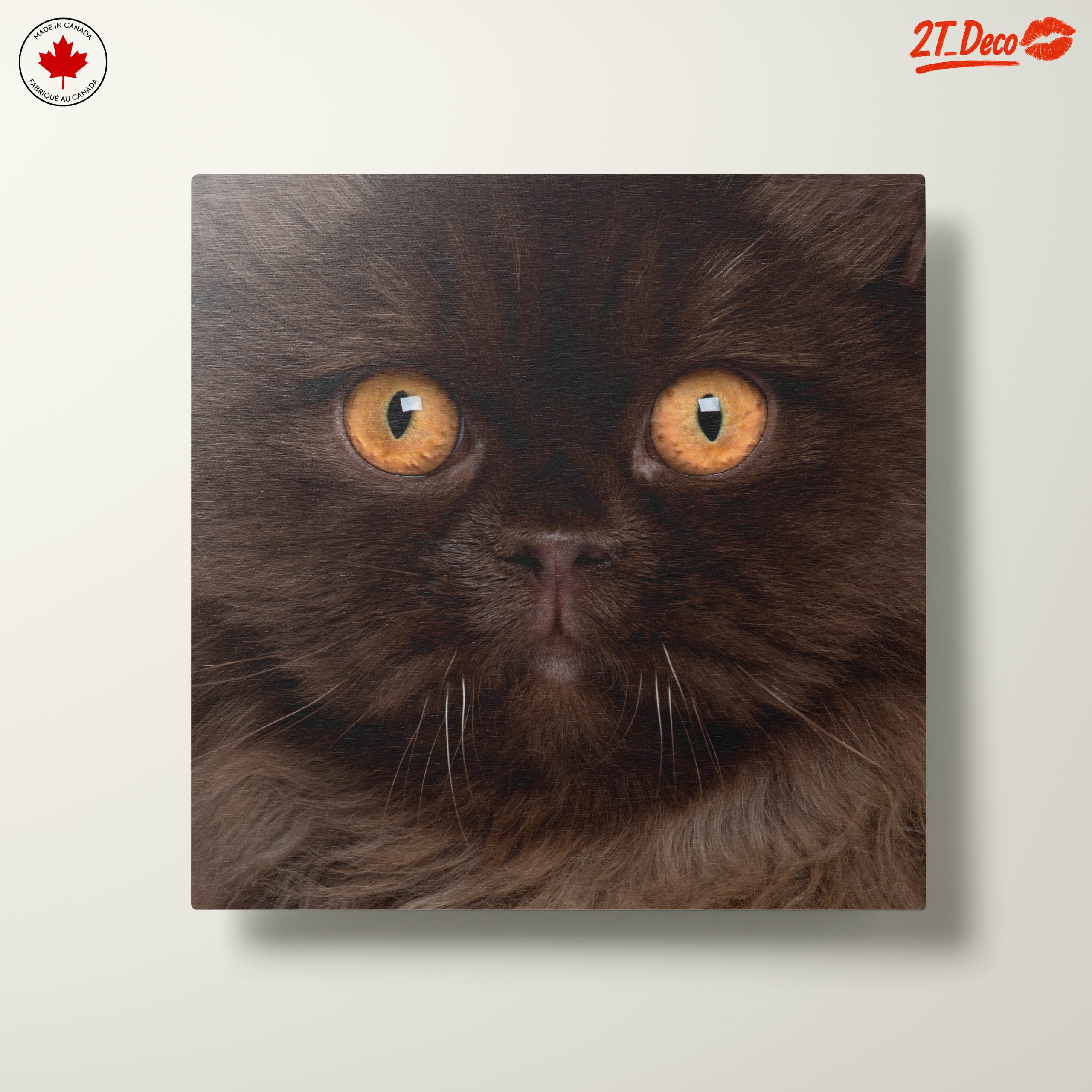 Stunning Cat Portrait with Golden Eyes - Image 10