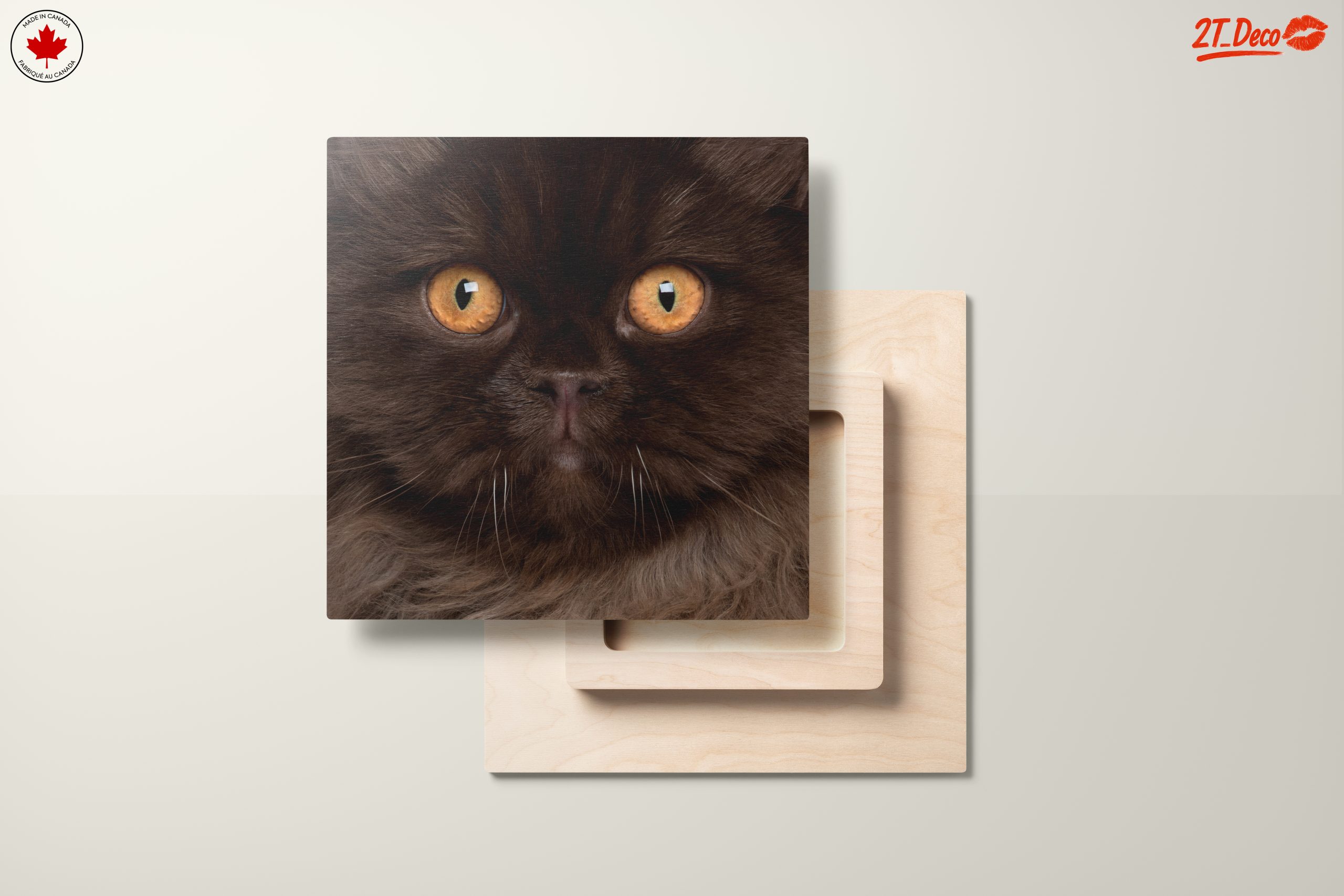 Stunning Cat Portrait with Golden Eyes - Image 11