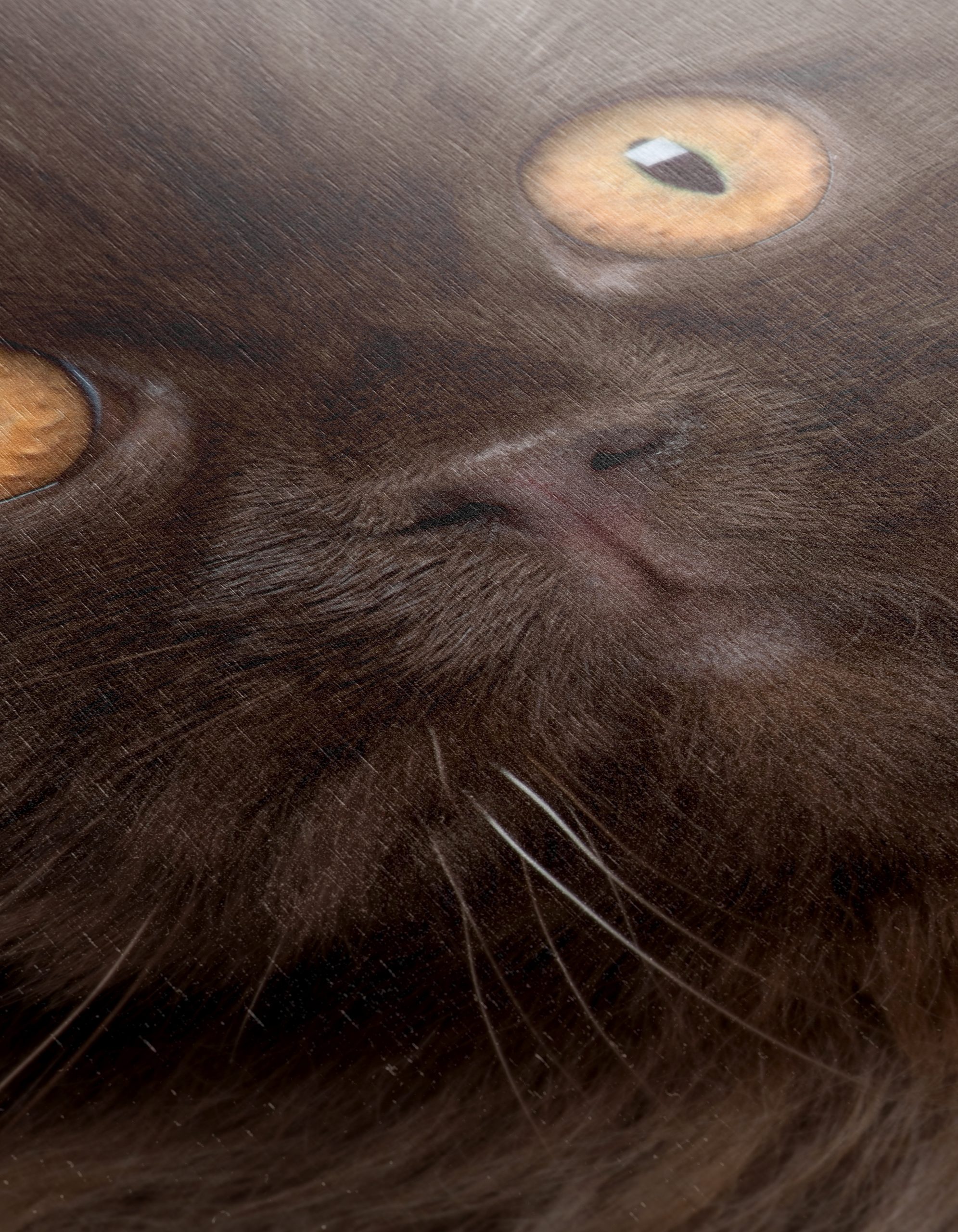 Stunning Cat Portrait with Golden Eyes - Image 12