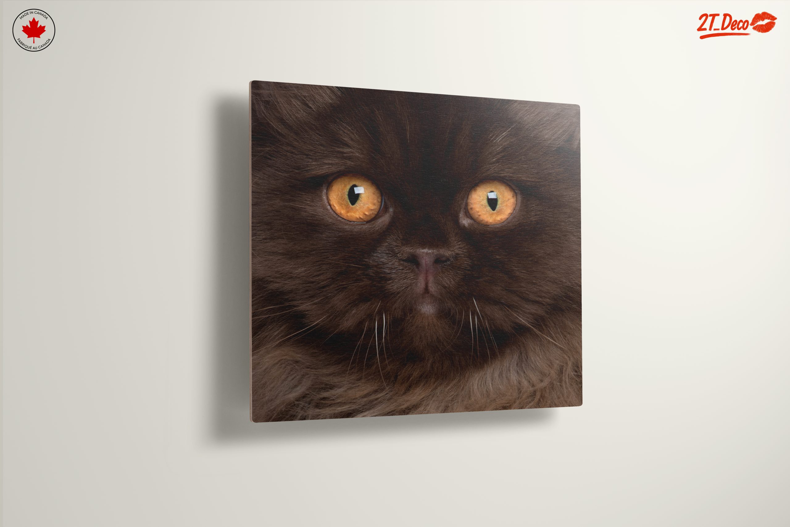 Stunning Cat Portrait with Golden Eyes - Image 13