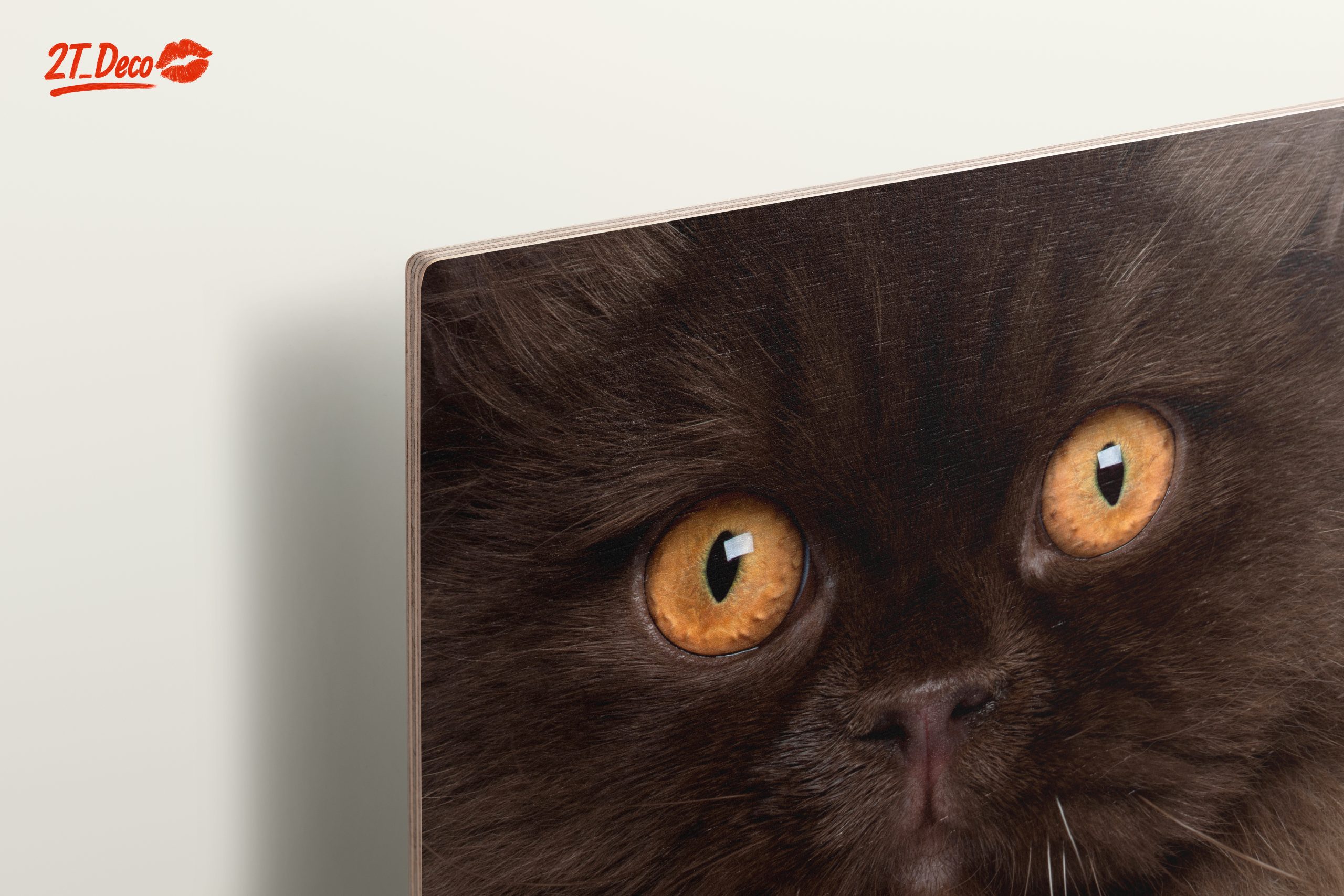 Stunning Cat Portrait with Golden Eyes - Image 15
