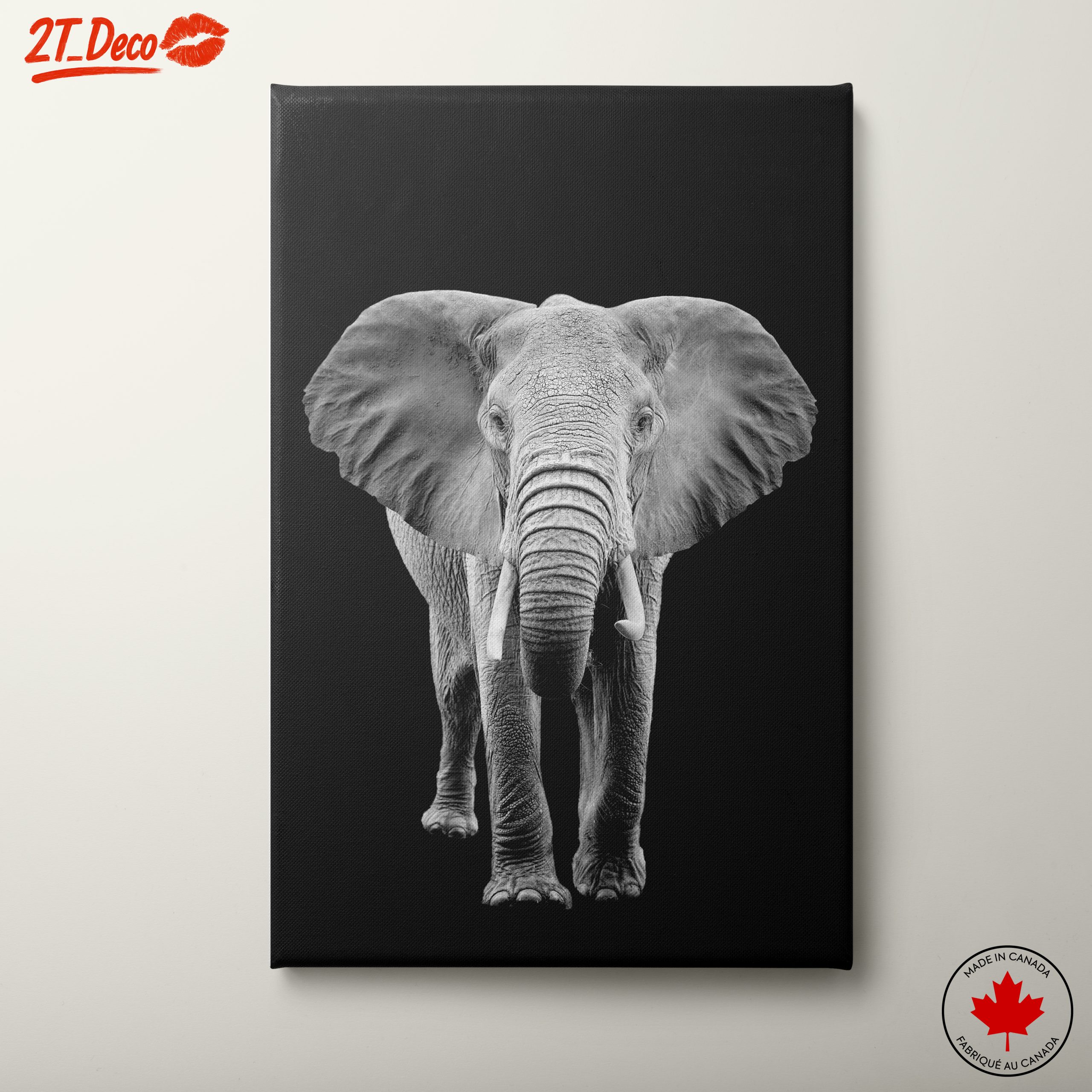 Majestic Black and White Elephant