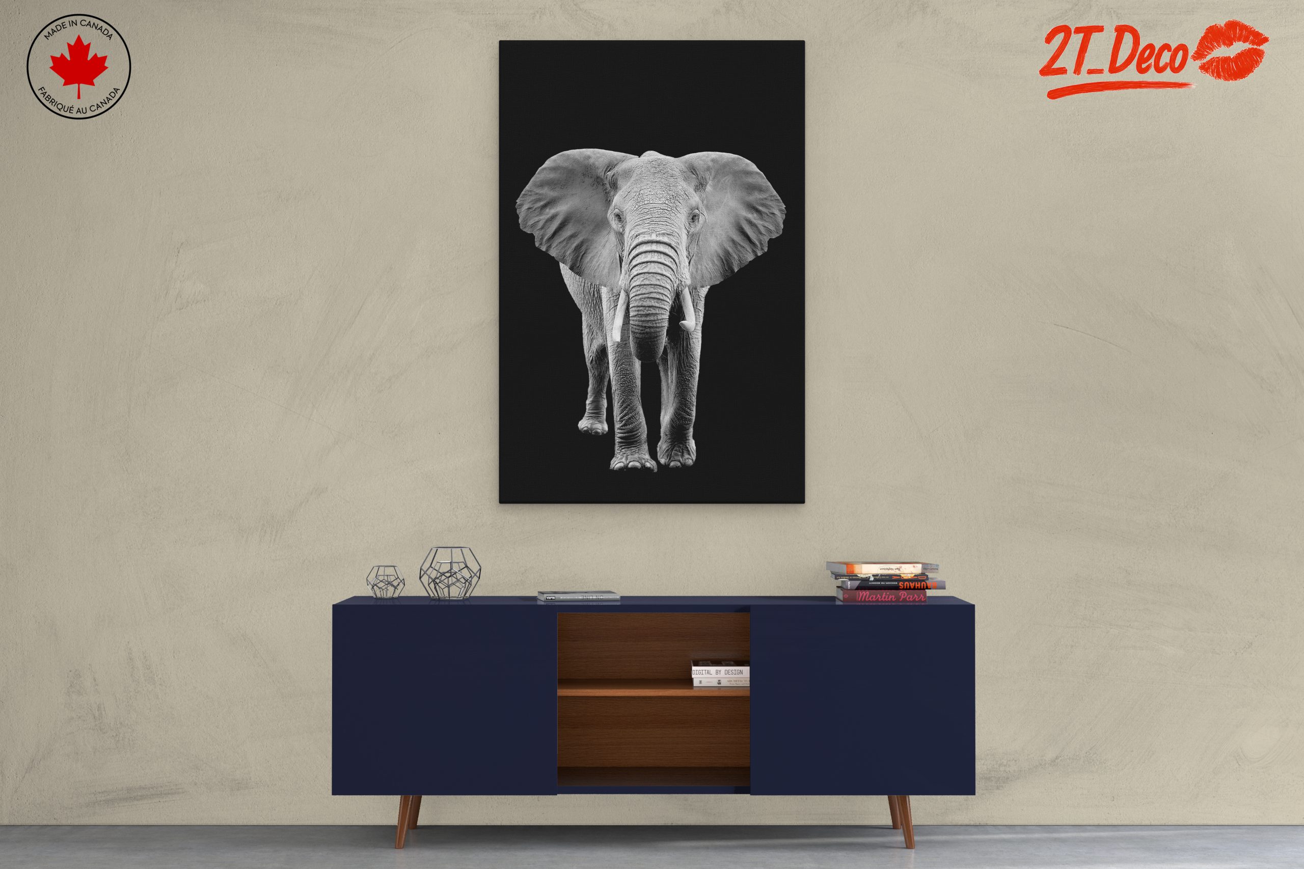 Majestic Black and White Elephant - Image 3