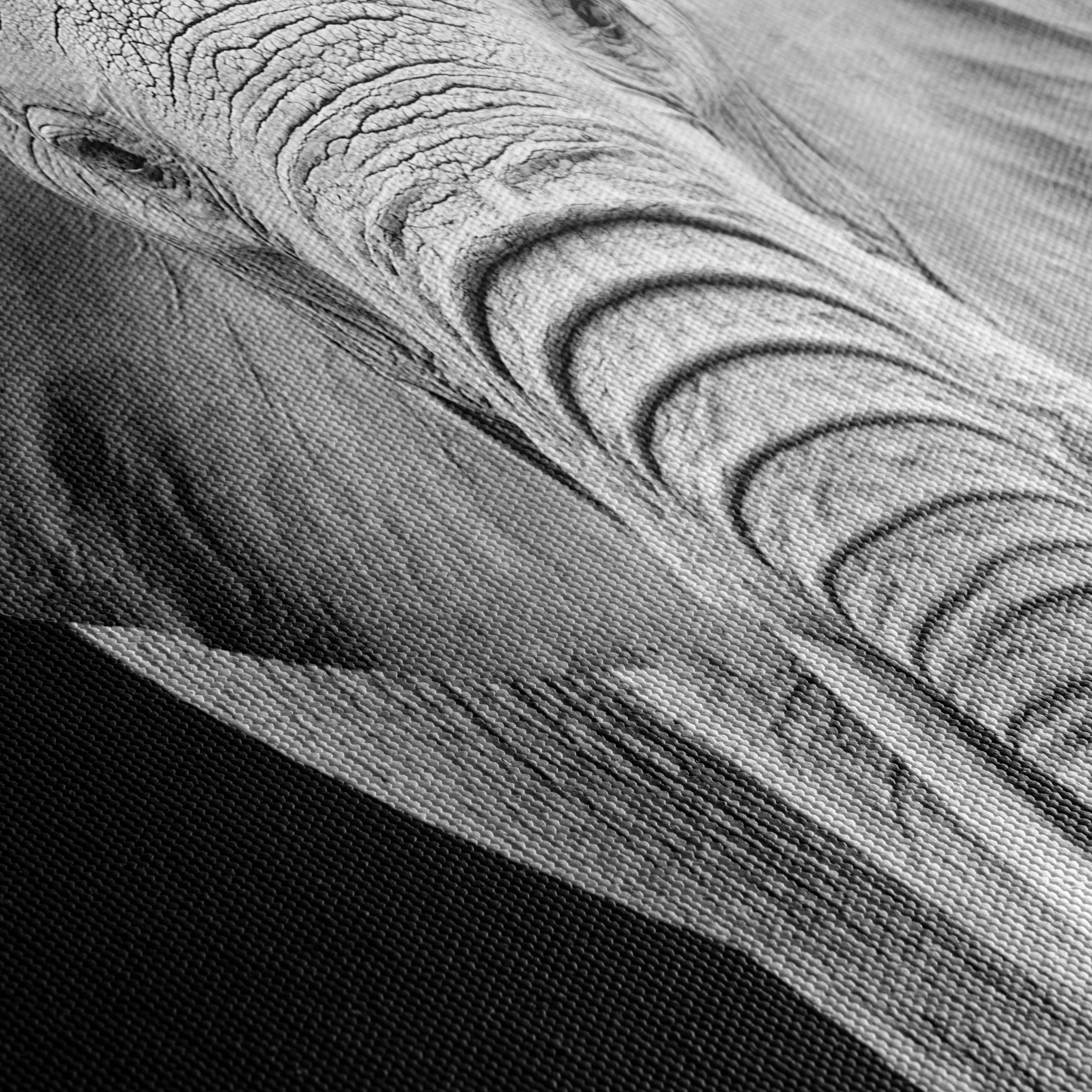 Majestic Black and White Elephant - Image 5