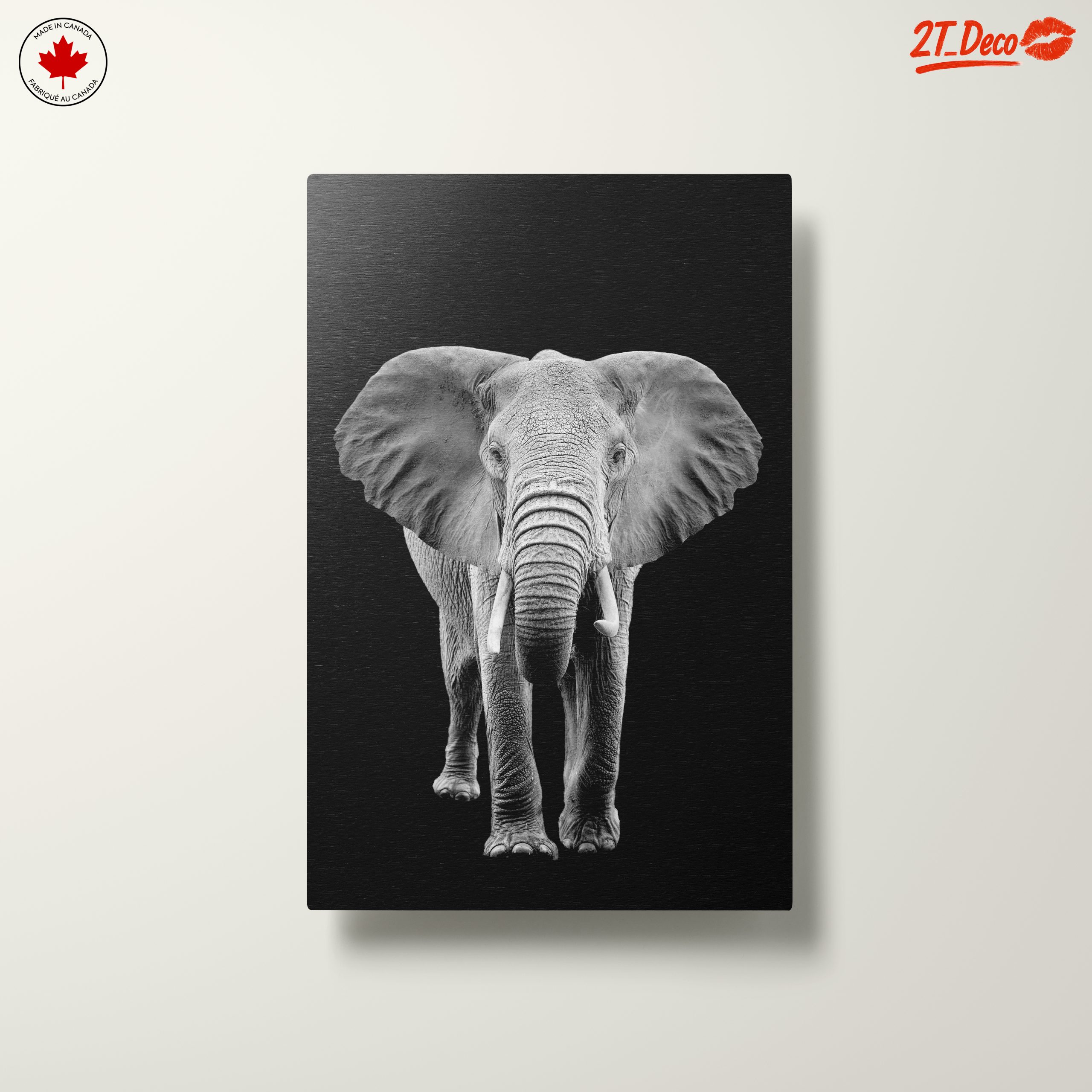Majestic Black and White Elephant - Image 10