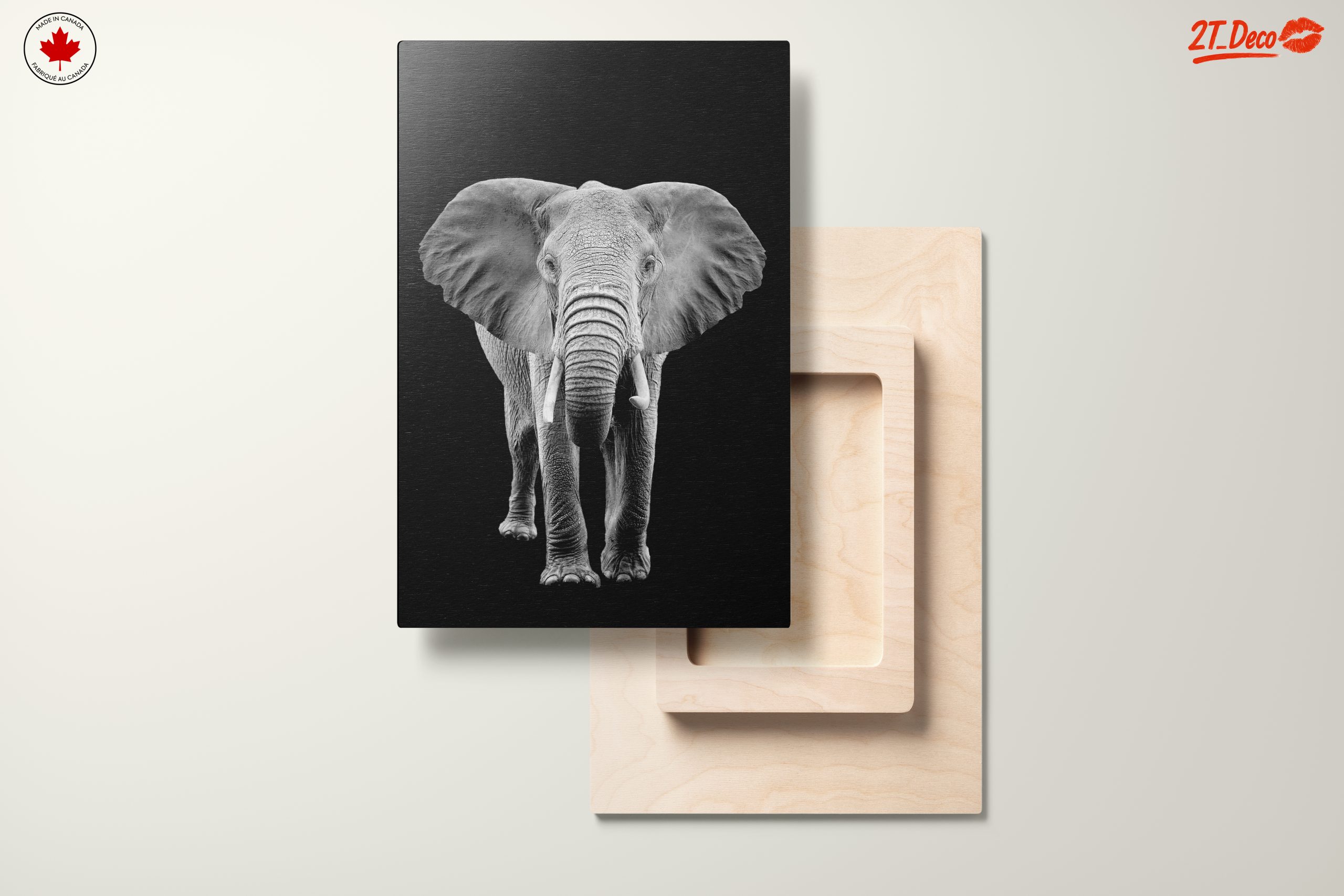 Majestic Black and White Elephant - Image 11