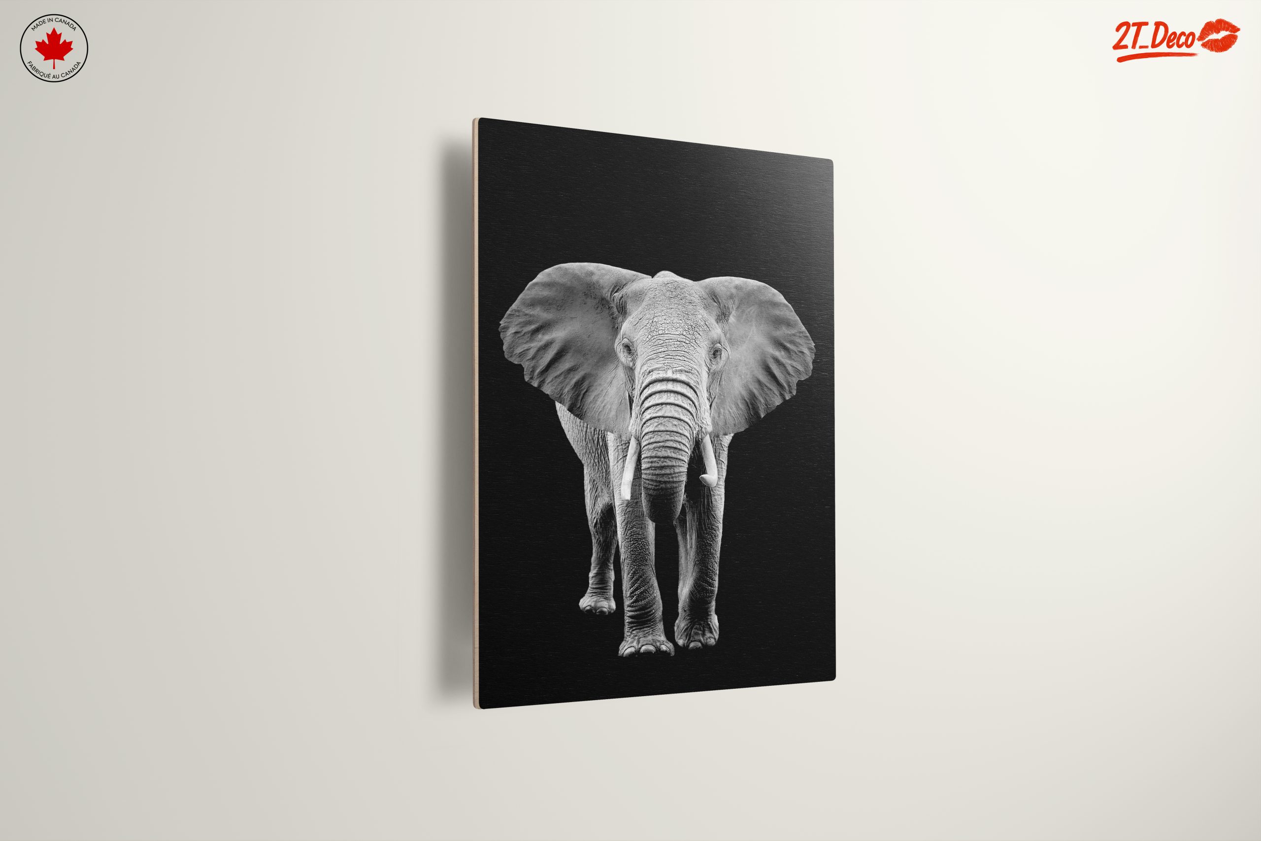 Majestic Black and White Elephant - Image 13