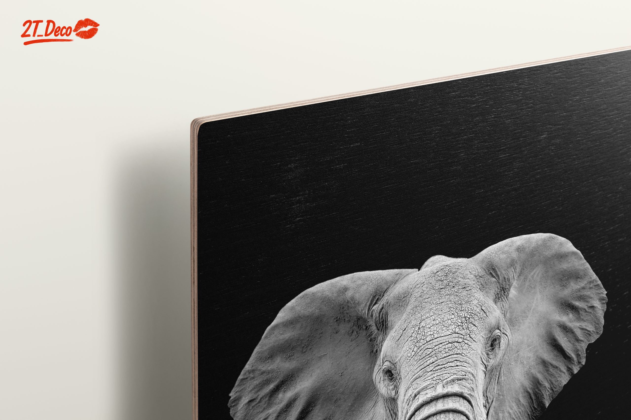 Majestic Black and White Elephant - Image 15