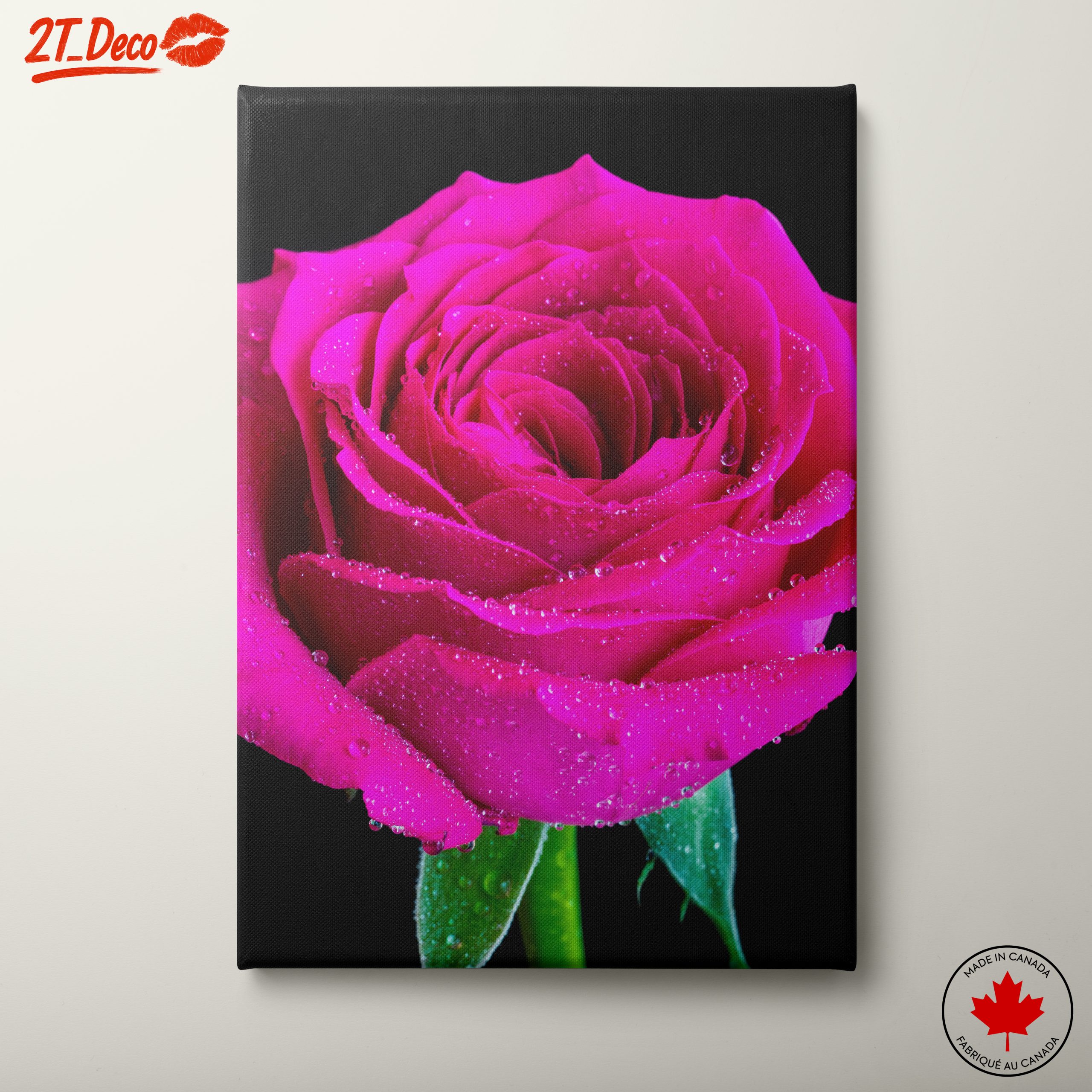 Stunning Pink Rose Flower Art