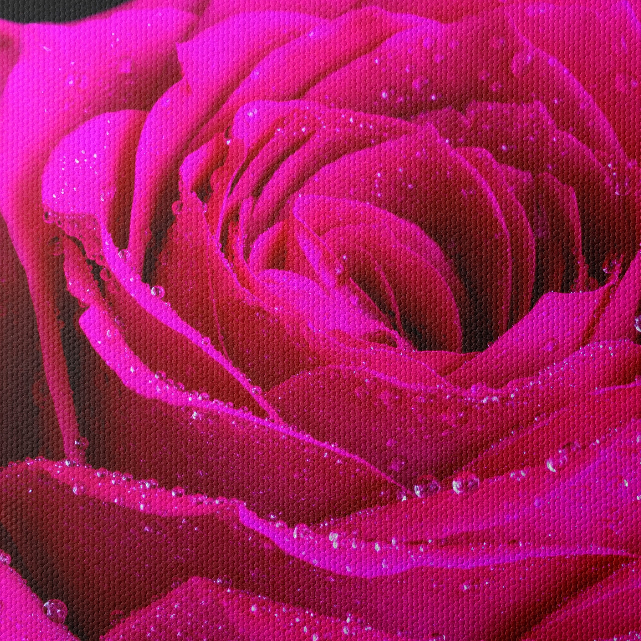 Stunning Pink Rose Flower Art - Image 4
