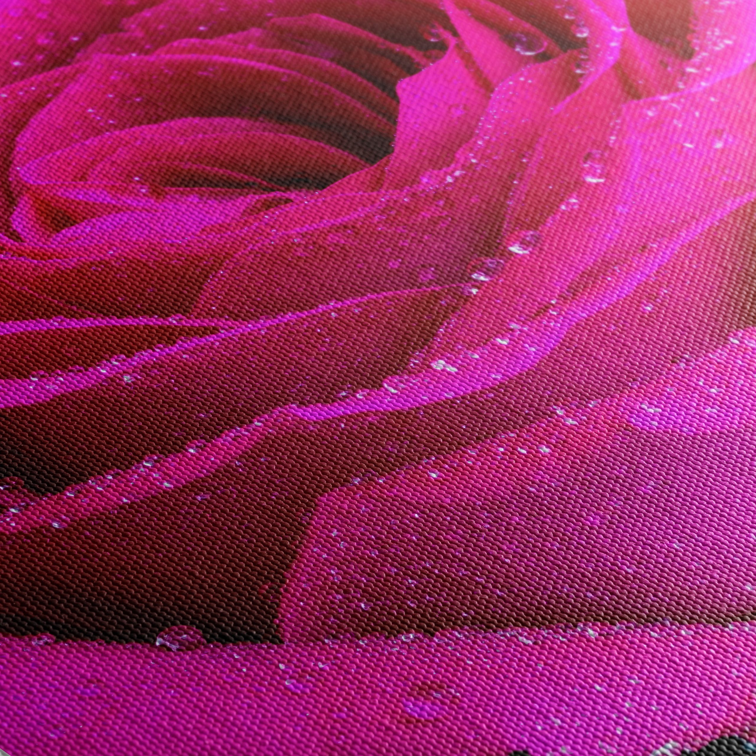 Stunning Pink Rose Flower Art - Image 5